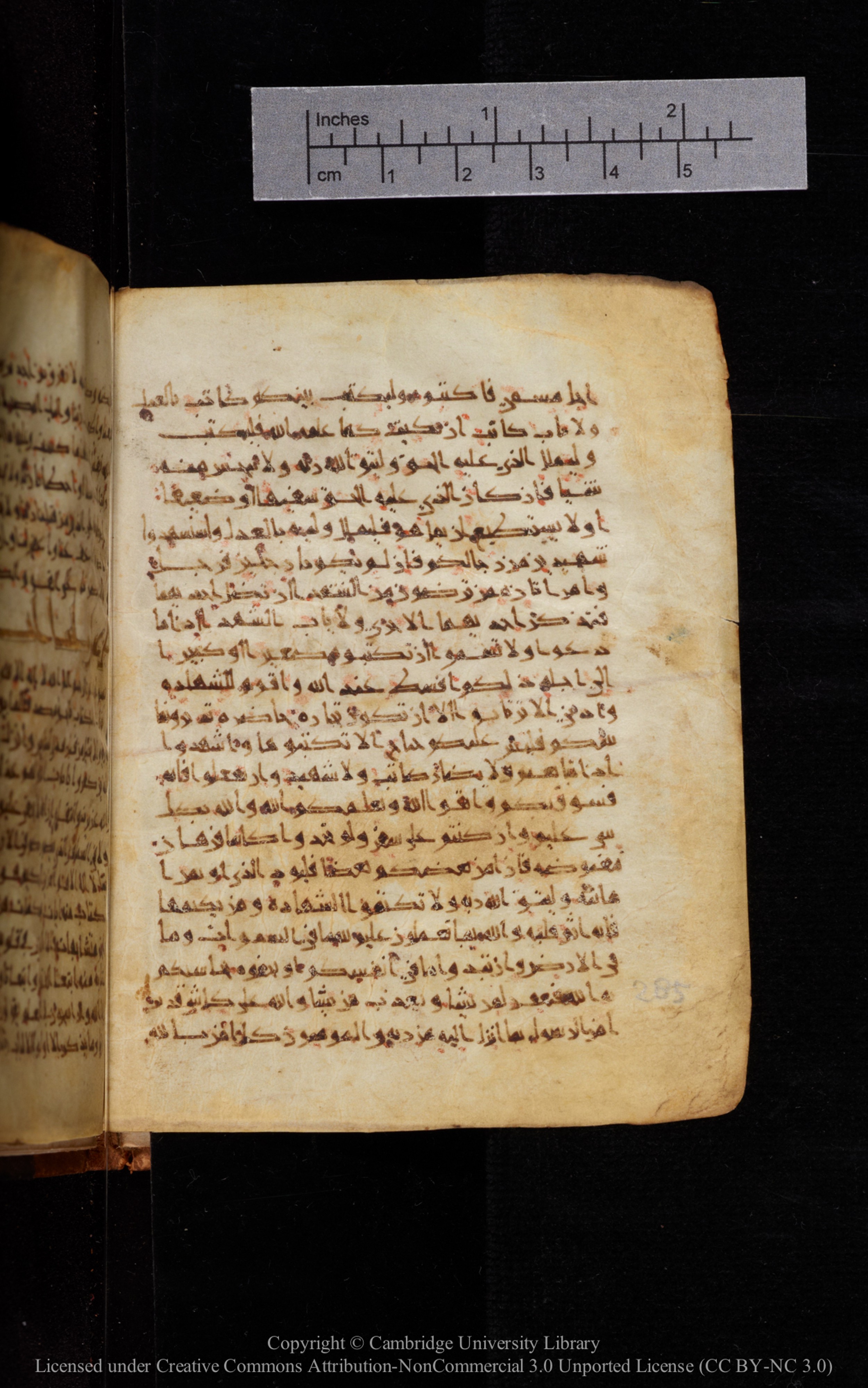 Cambridge University Library MS Add.1113, in new style I script, showing Surah 2:283 from 10th or 11th Century AD found in Sinai Peninsula, currently housed at Cambridge University Library, Cambridge, UK