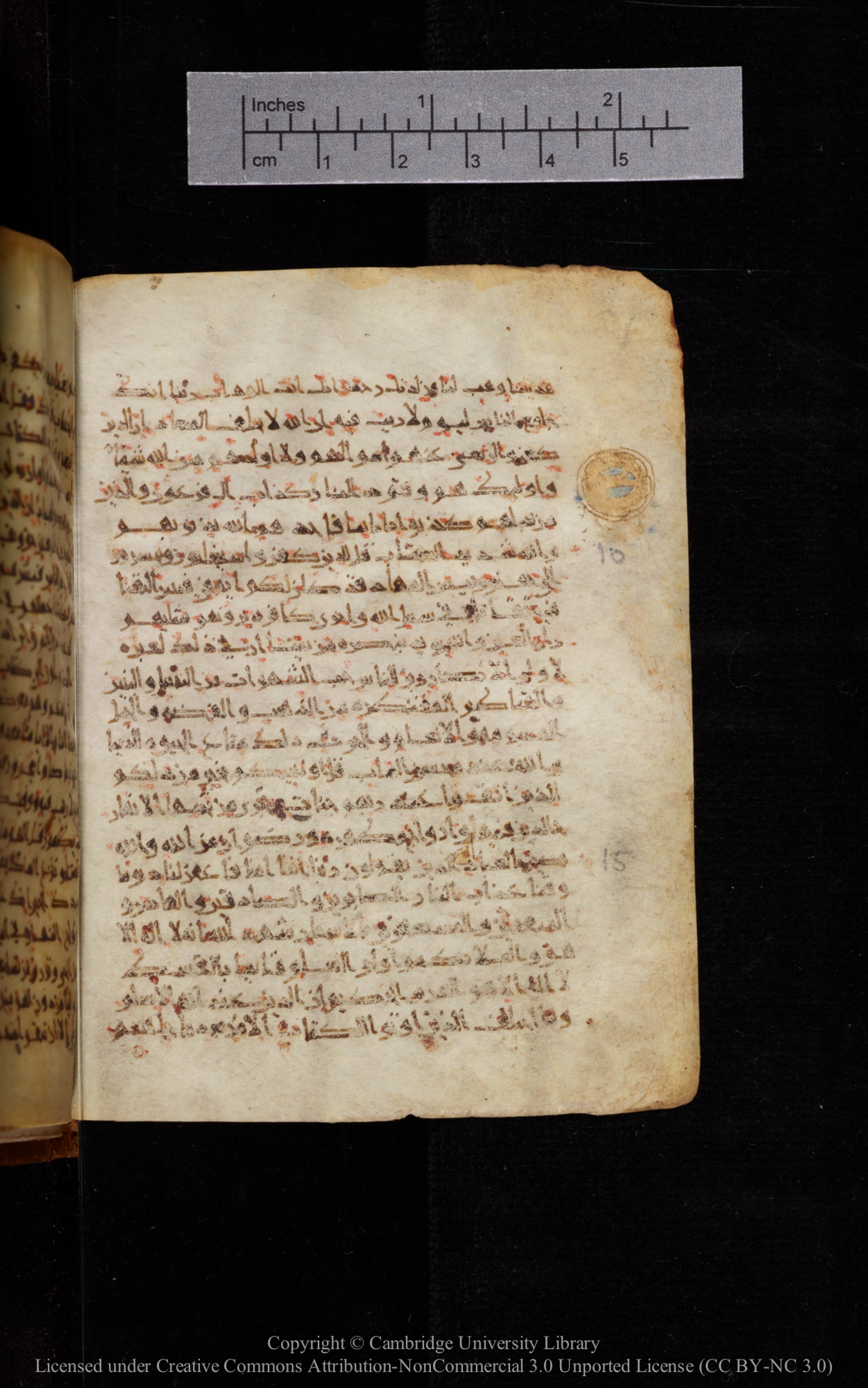 Cambridge University Library MS Add.1113 (Scan 2), in new style I script, showing Surah 3:8 from 10th or 11th Century AD found in Sinai Peninsula, currently housed at Cambridge University Library, Cambridge, UK