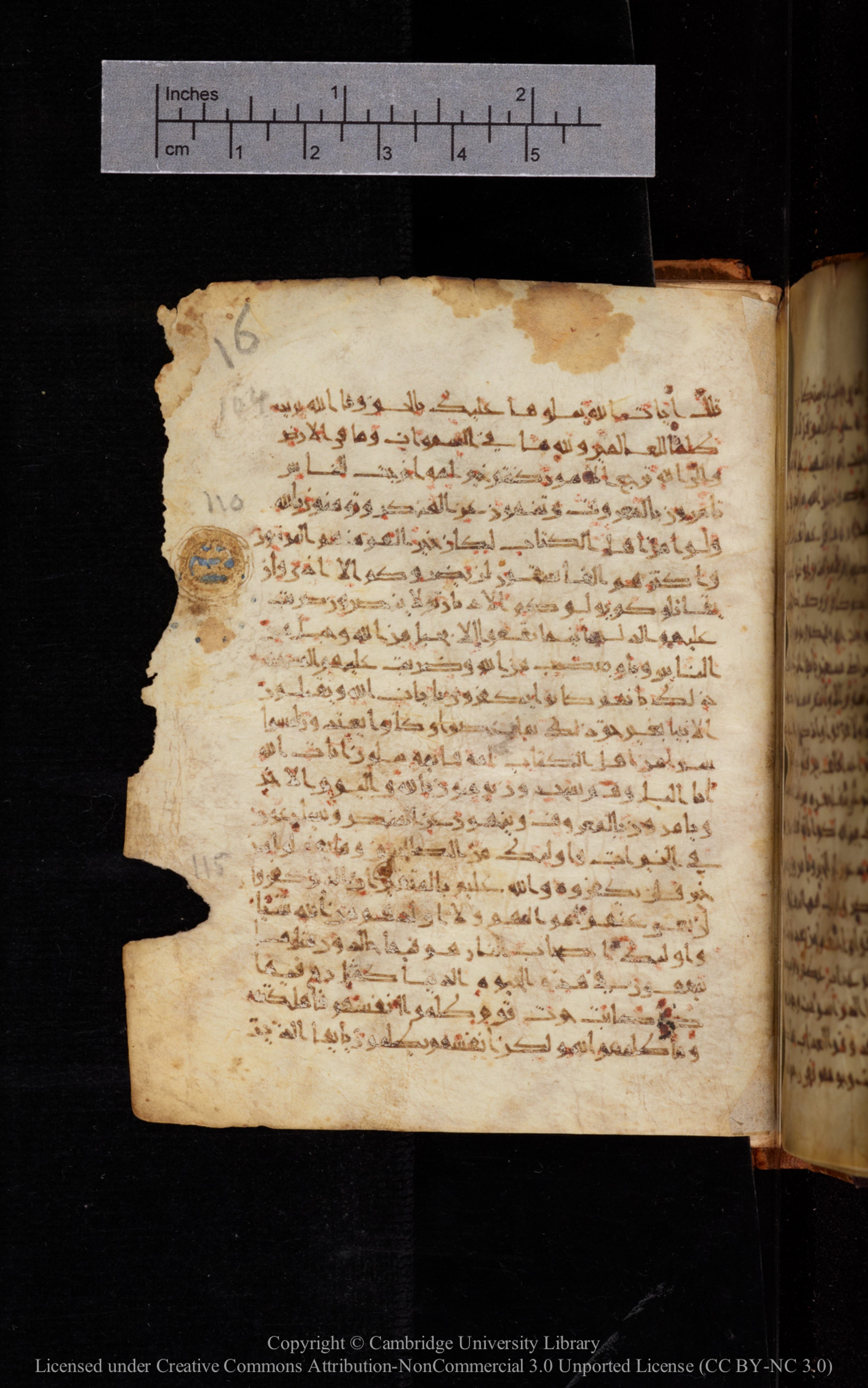 Cambridge University Library MS Add.1113, in new style I script, showing Surah 3:116 from 10th or 11th Century AD found in Sinai Peninsula, currently housed at Cambridge University Library, Cambridge, UK