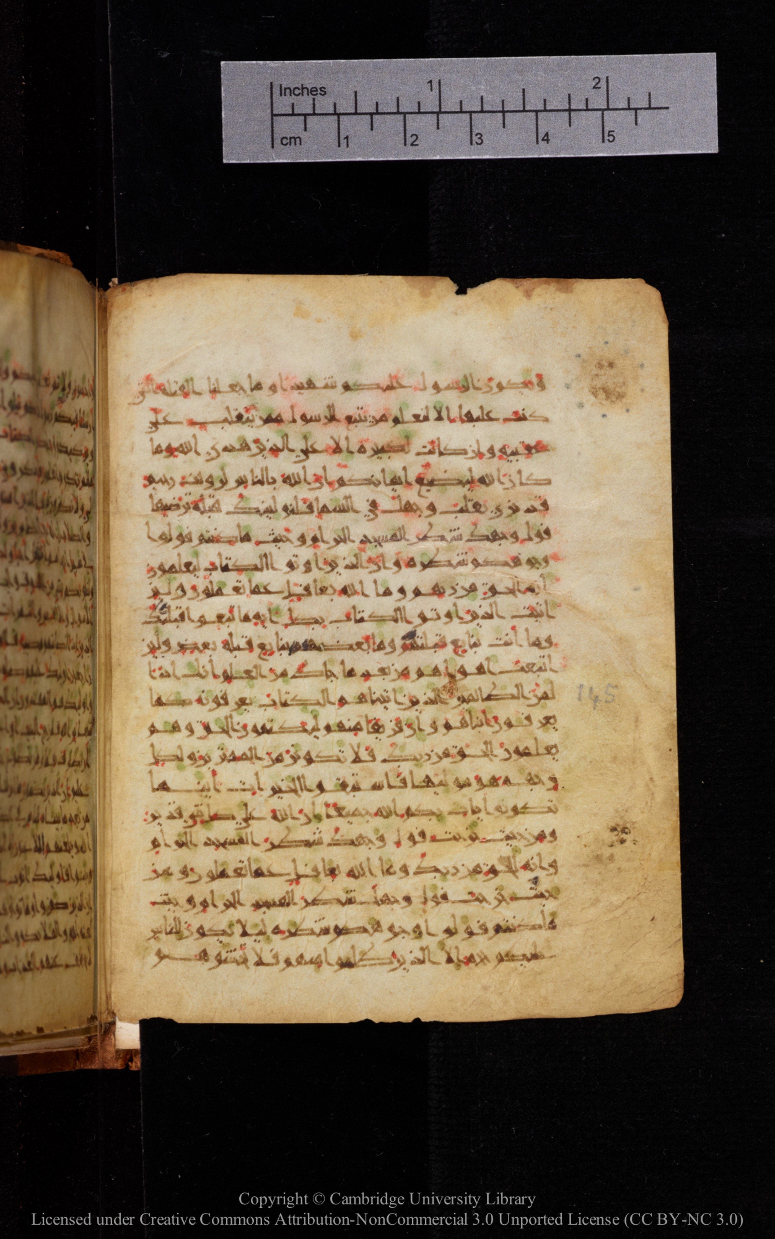 Cambridge University Library MS Add.1113, in new style I script, showing Surah 2:147 from 10th or 11th Century AD found in Sinai Peninsula, currently housed at Cambridge University Library, Cambridge, UK