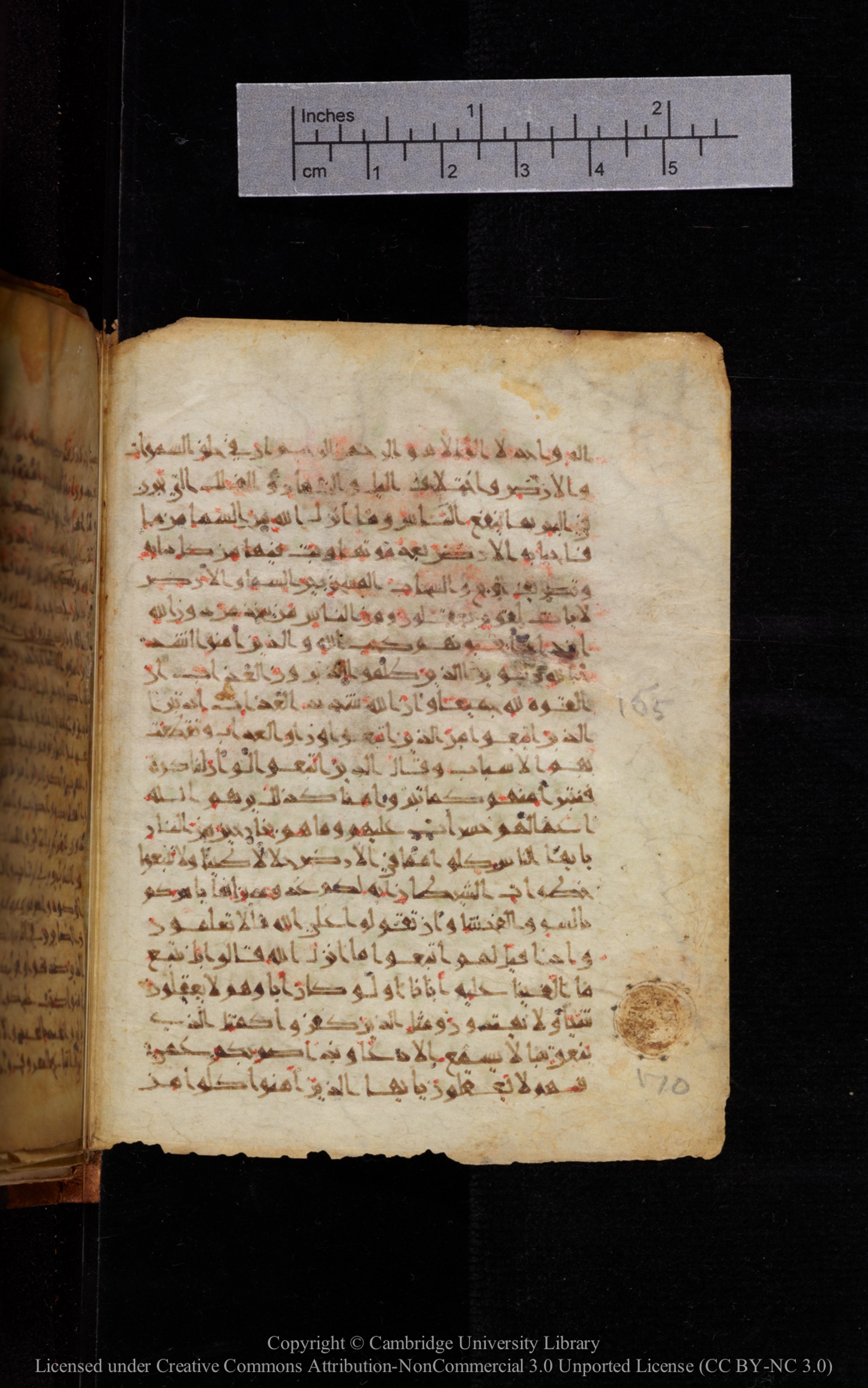 Cambridge University Library MS Add.1113, in new style I script, showing Surah 2:170 from 10th or 11th Century AD found in Sinai Peninsula, currently housed at Cambridge University Library, Cambridge, UK