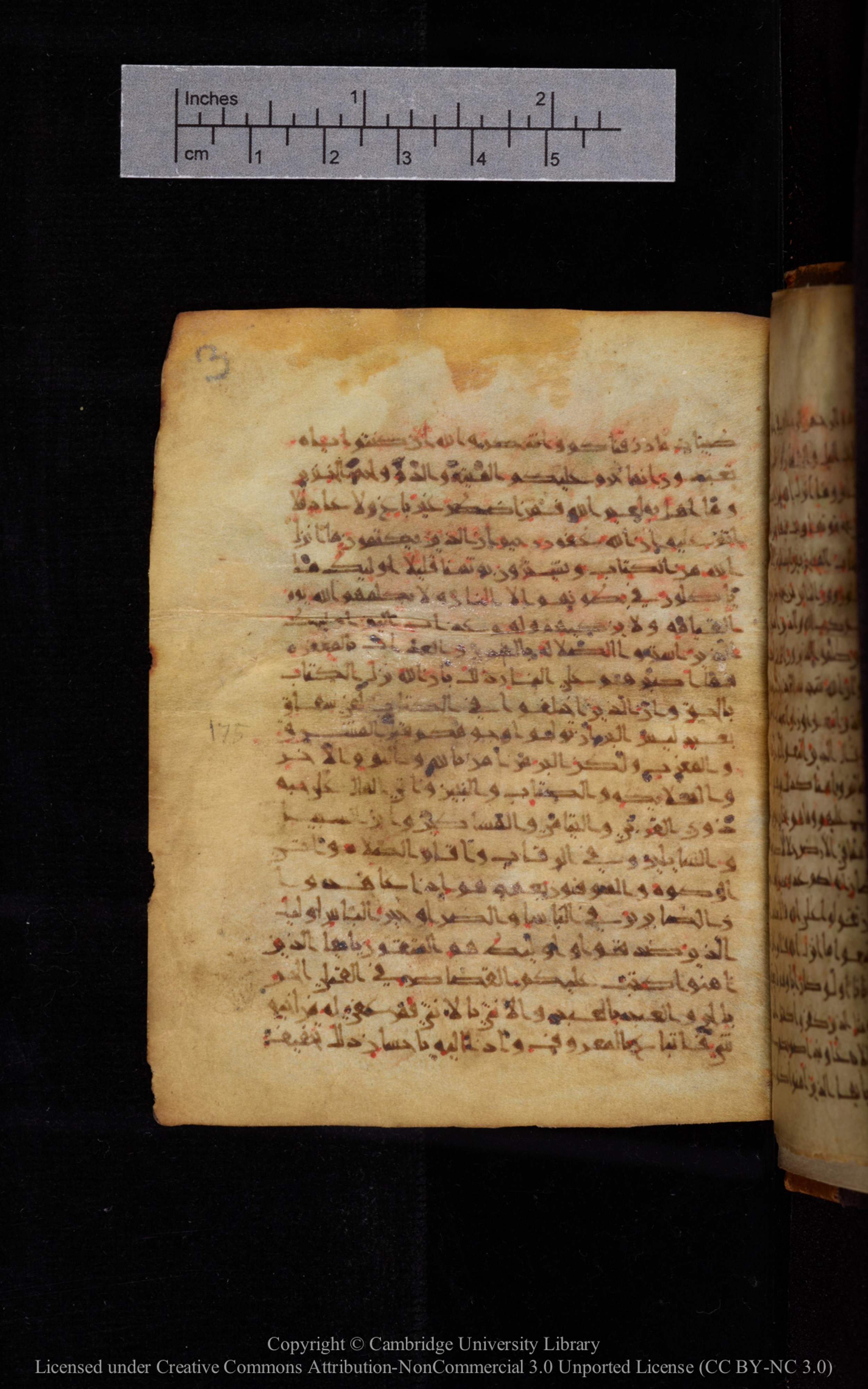 Cambridge University Library MS Add.1113, in new style I script, showing Surah 2:175 from 10th or 11th Century AD found in Sinai Peninsula, currently housed at Cambridge University Library, Cambridge, UK