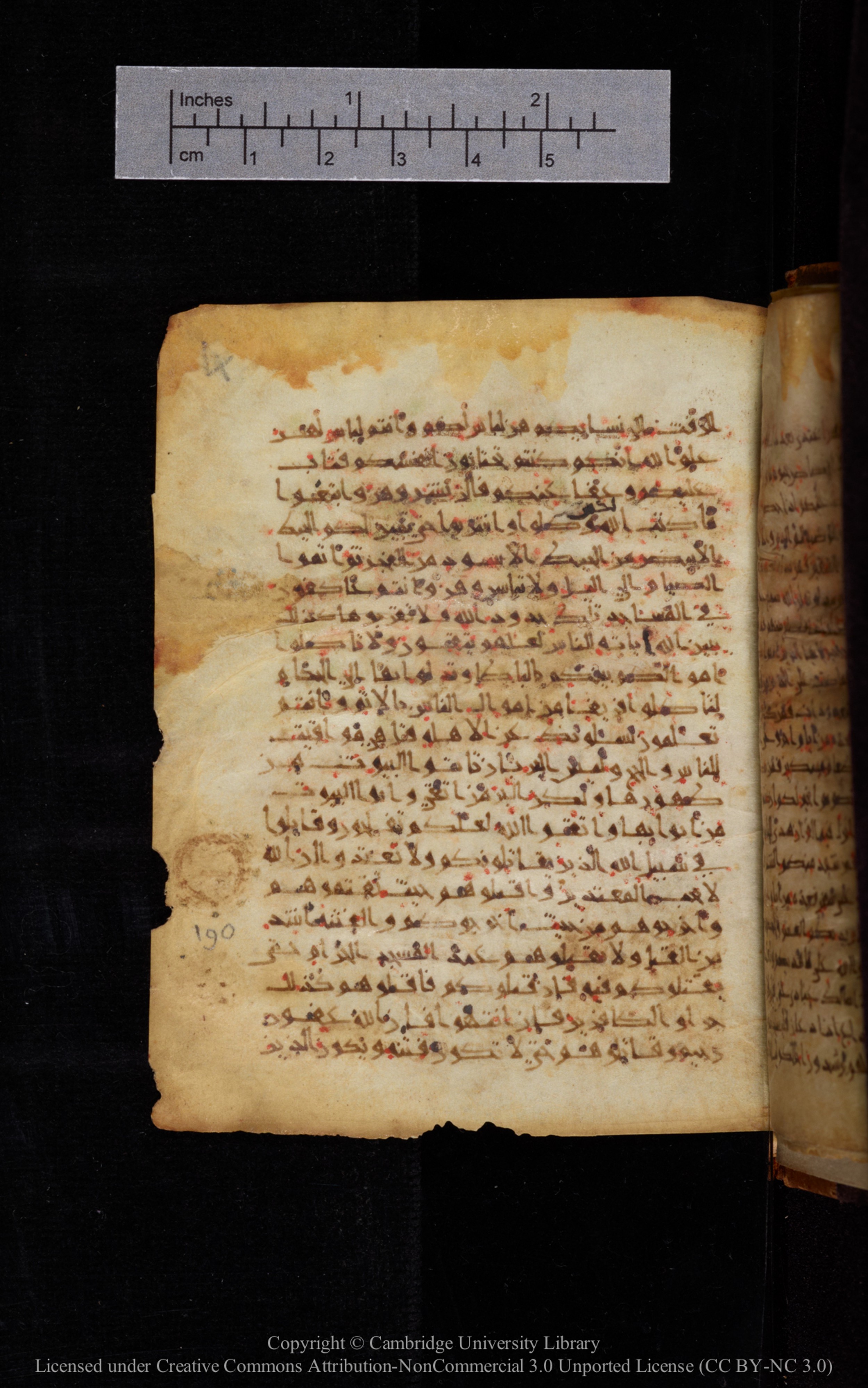 Cambridge University Library MS Add.1113, in new style I script, showing Surah 2:192 from 10th or 11th Century AD found in Sinai Peninsula, currently housed at Cambridge University Library, Cambridge, UK