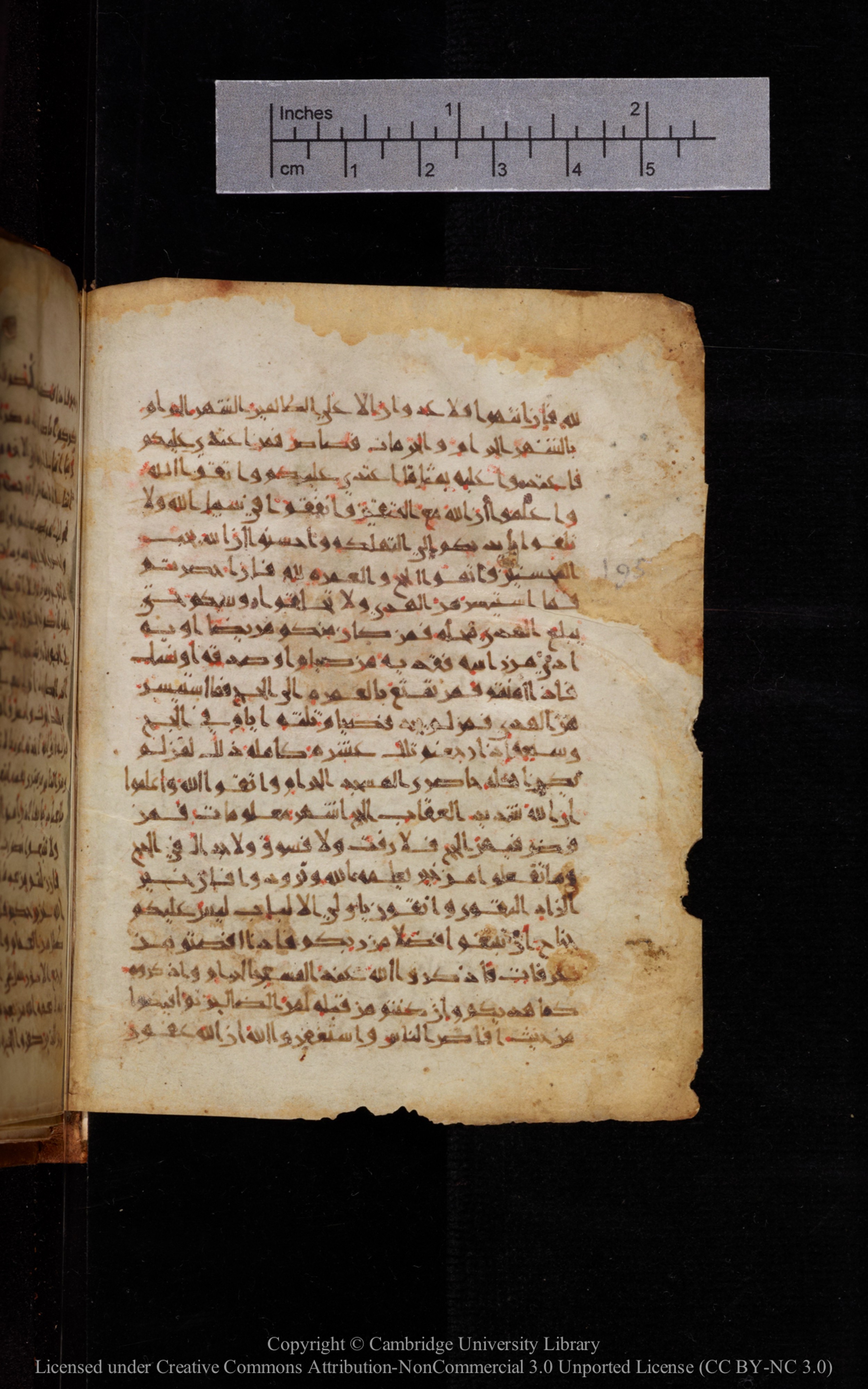 Cambridge University Library MS Add.1113 (Scan 1), in new style I script, showing Surah 2:199 from 10th or 11th Century AD found in Sinai Peninsula, currently housed at Cambridge University Library, Cambridge, UK