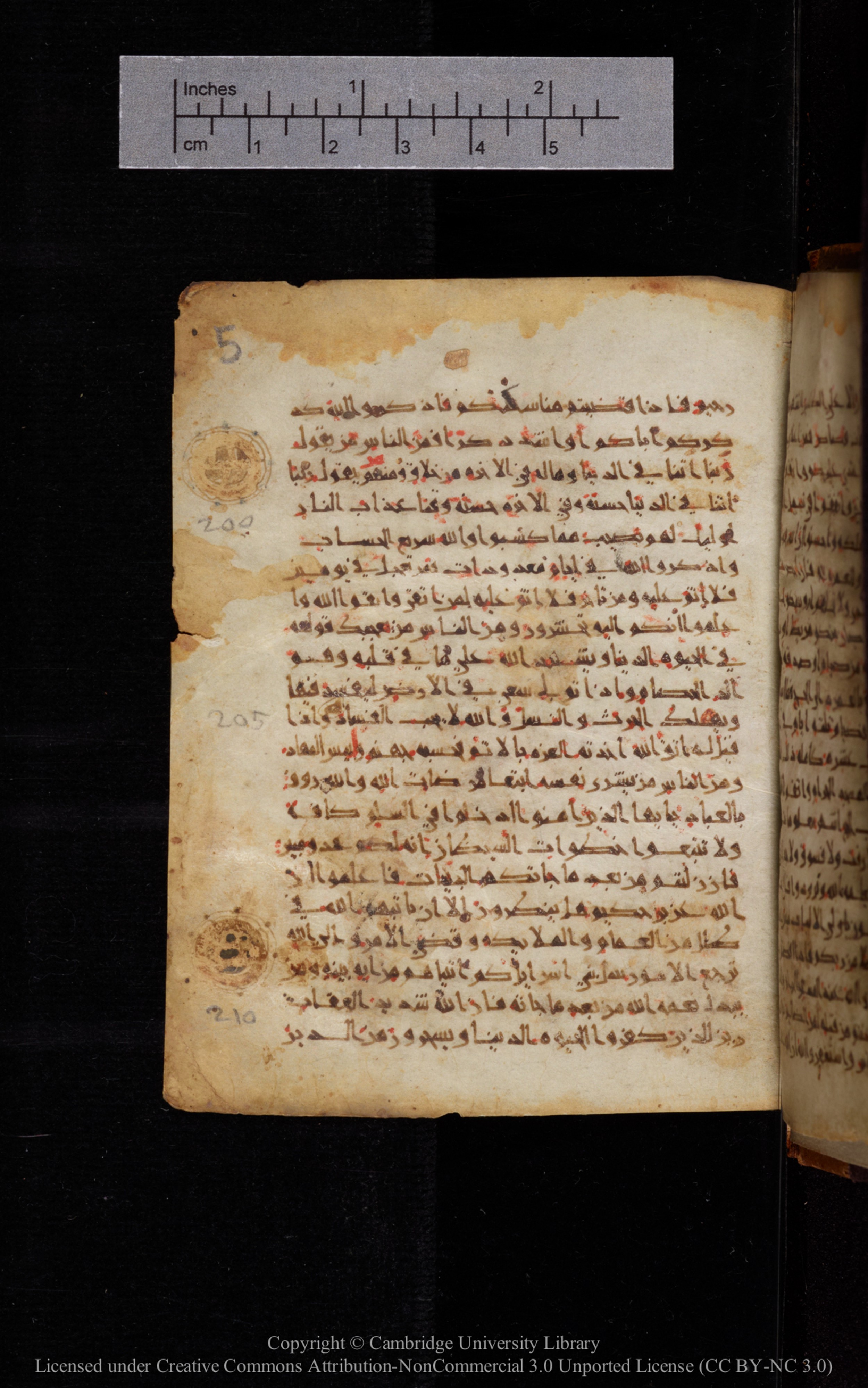 Cambridge University Library MS Add.1113 (Scan 2), in new style I script, showing Surah 2:199 from 10th or 11th Century AD found in Sinai Peninsula, currently housed at Cambridge University Library, Cambridge, UK