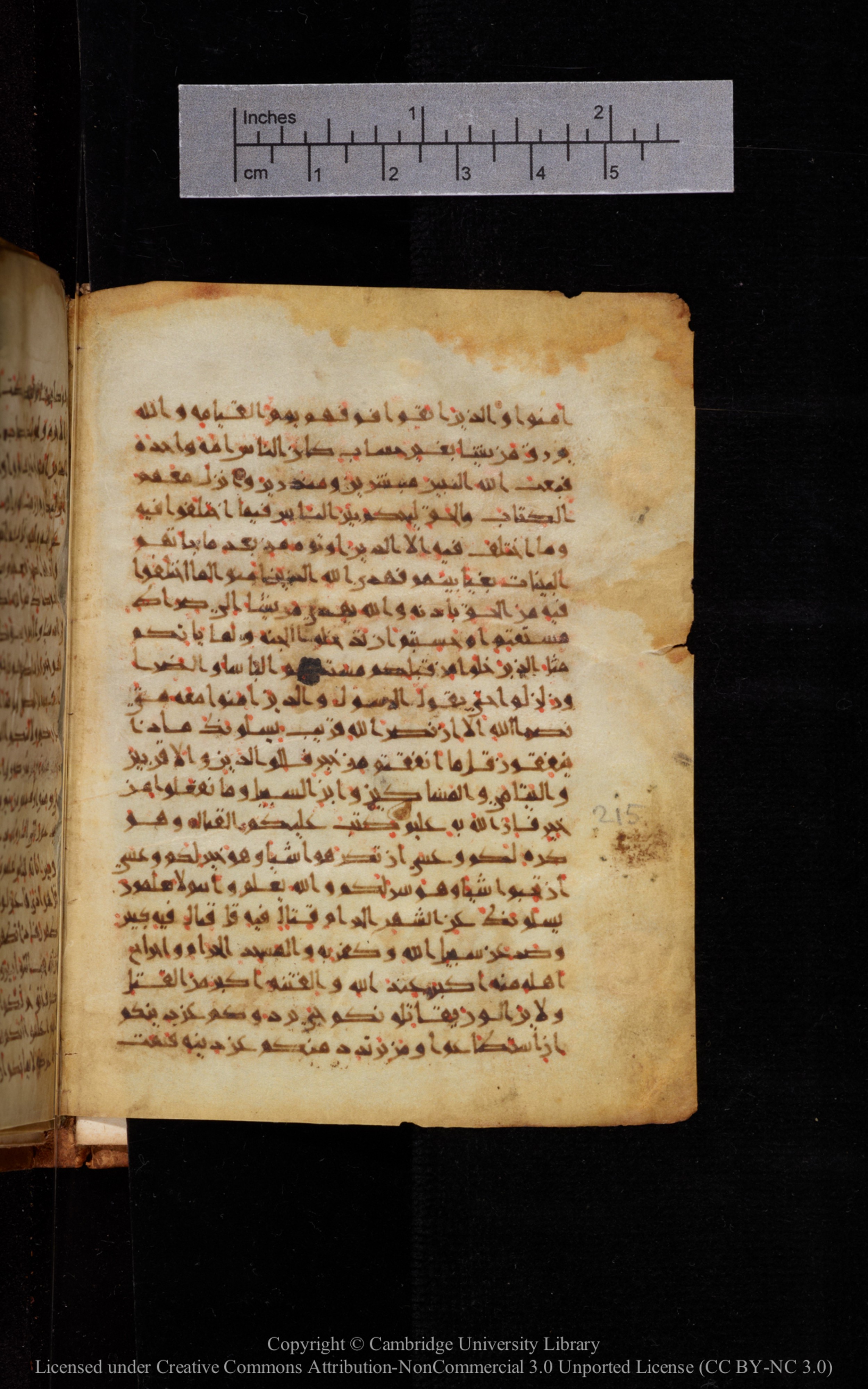 Cambridge University Library MS Add.1113 (Scan 1), in new style I script, showing Surah 2:217 from 10th or 11th Century AD found in Sinai Peninsula, currently housed at Cambridge University Library, Cambridge, UK