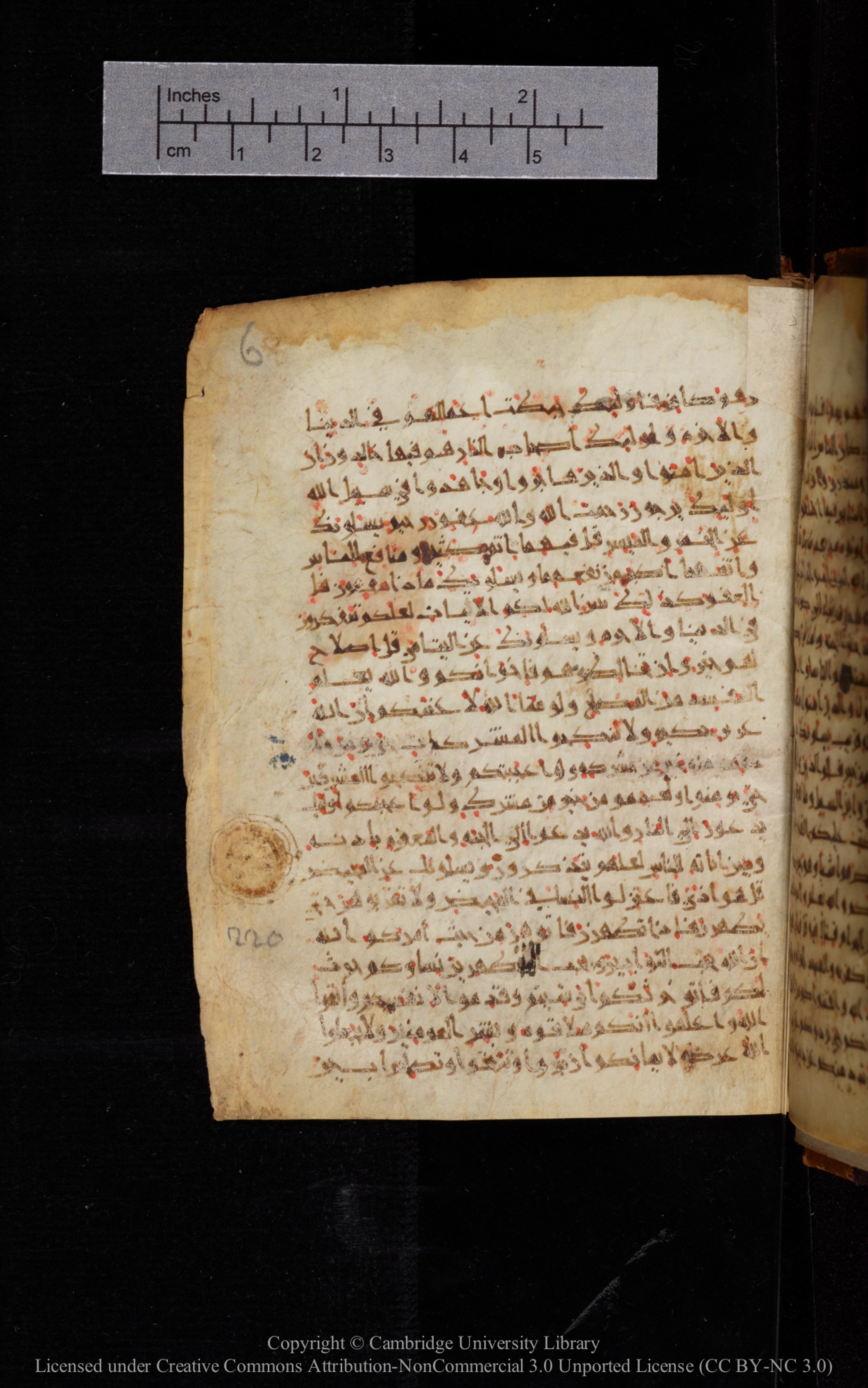 Cambridge University Library MS Add.1113 (Scan 2), in new style I script, showing Surah 2:217 from 10th or 11th Century AD found in Sinai Peninsula, currently housed at Cambridge University Library, Cambridge, UK