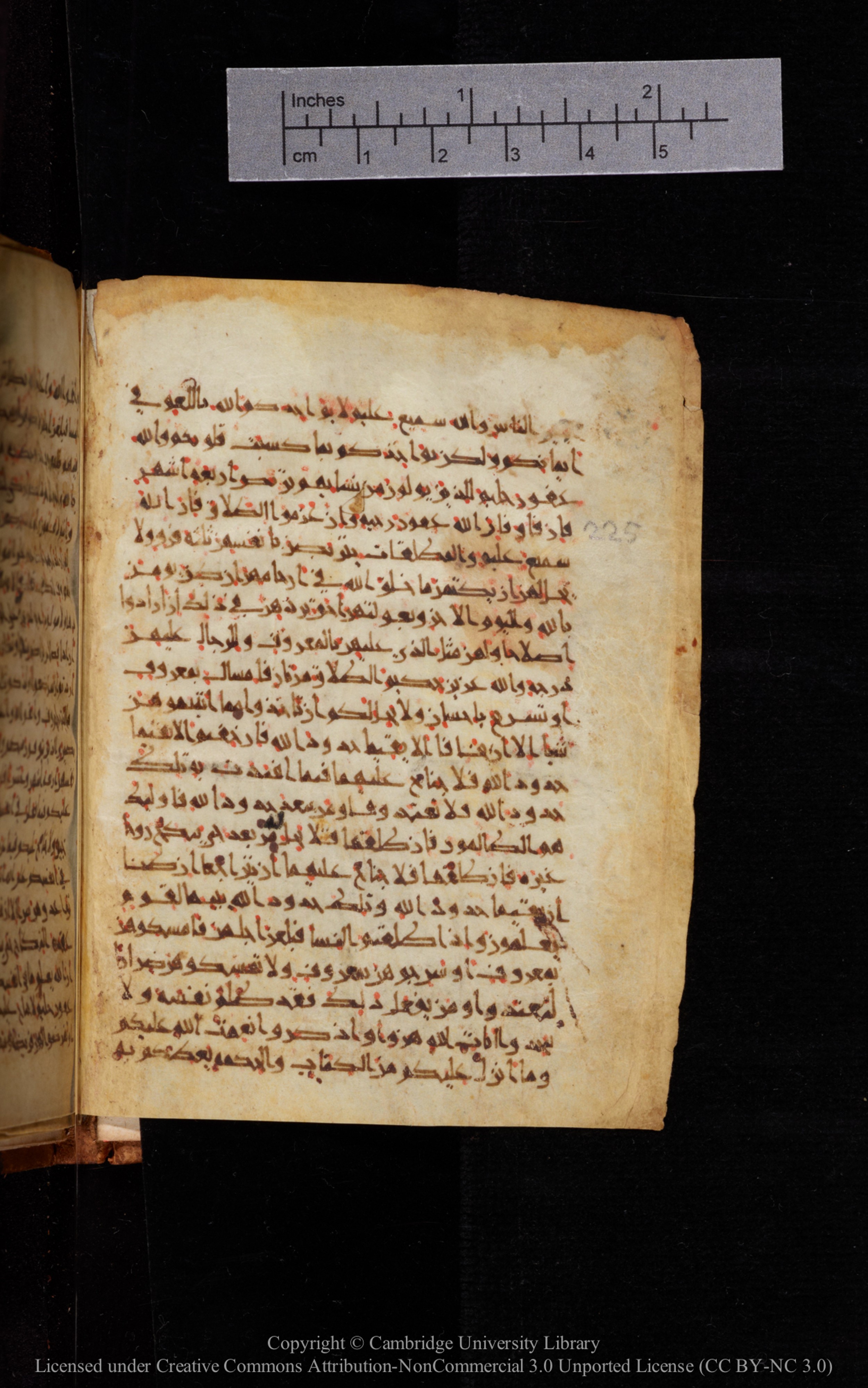 Cambridge University Library MS Add.1113 (Scan 1), in new style I script, showing Surah 2:231 from 10th or 11th Century AD found in Sinai Peninsula, currently housed at Cambridge University Library, Cambridge, UK