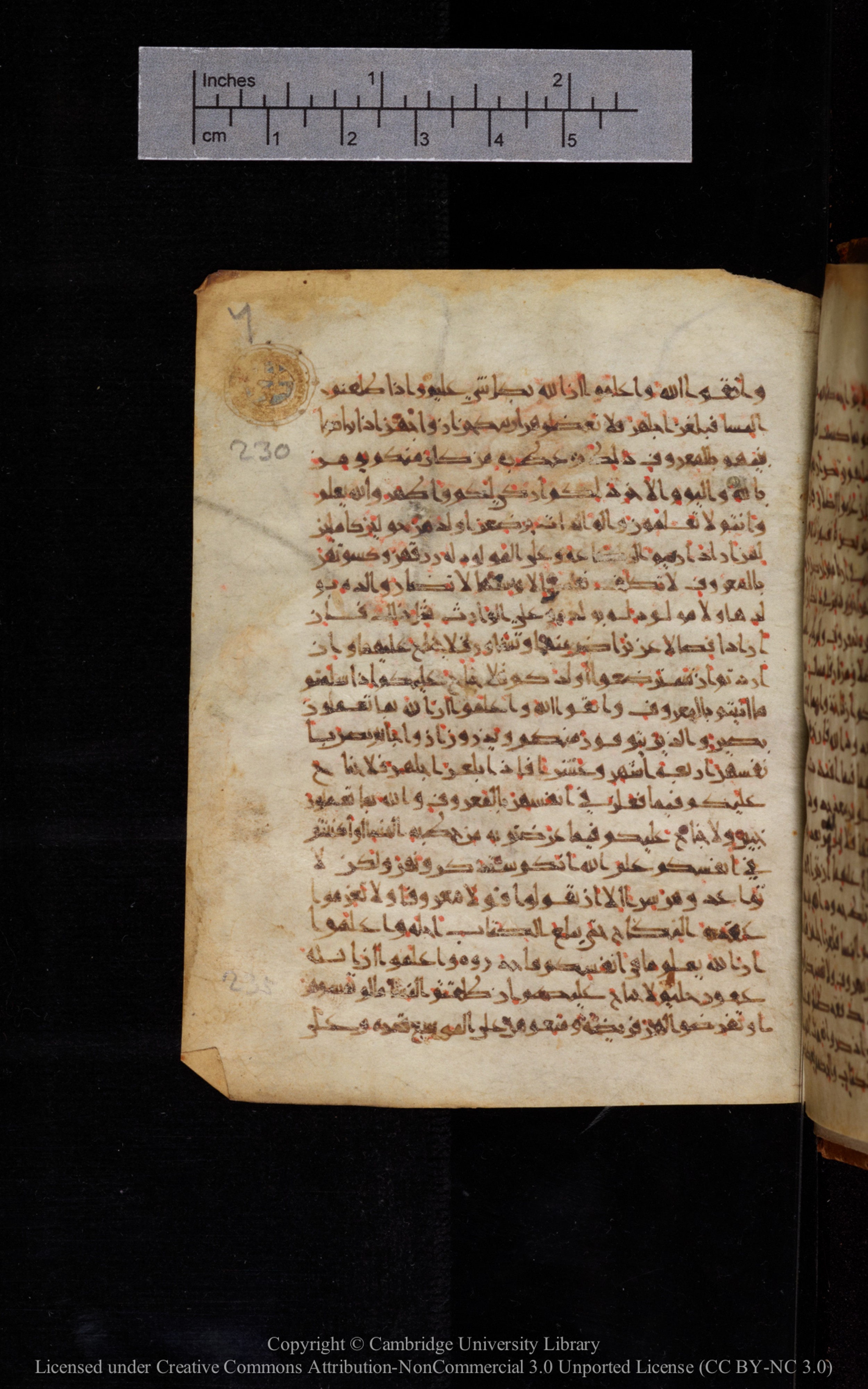 Cambridge University Library MS Add.1113, in new style I script, showing Surah 2:232 from 10th or 11th Century AD found in Sinai Peninsula, currently housed at Cambridge University Library, Cambridge, UK