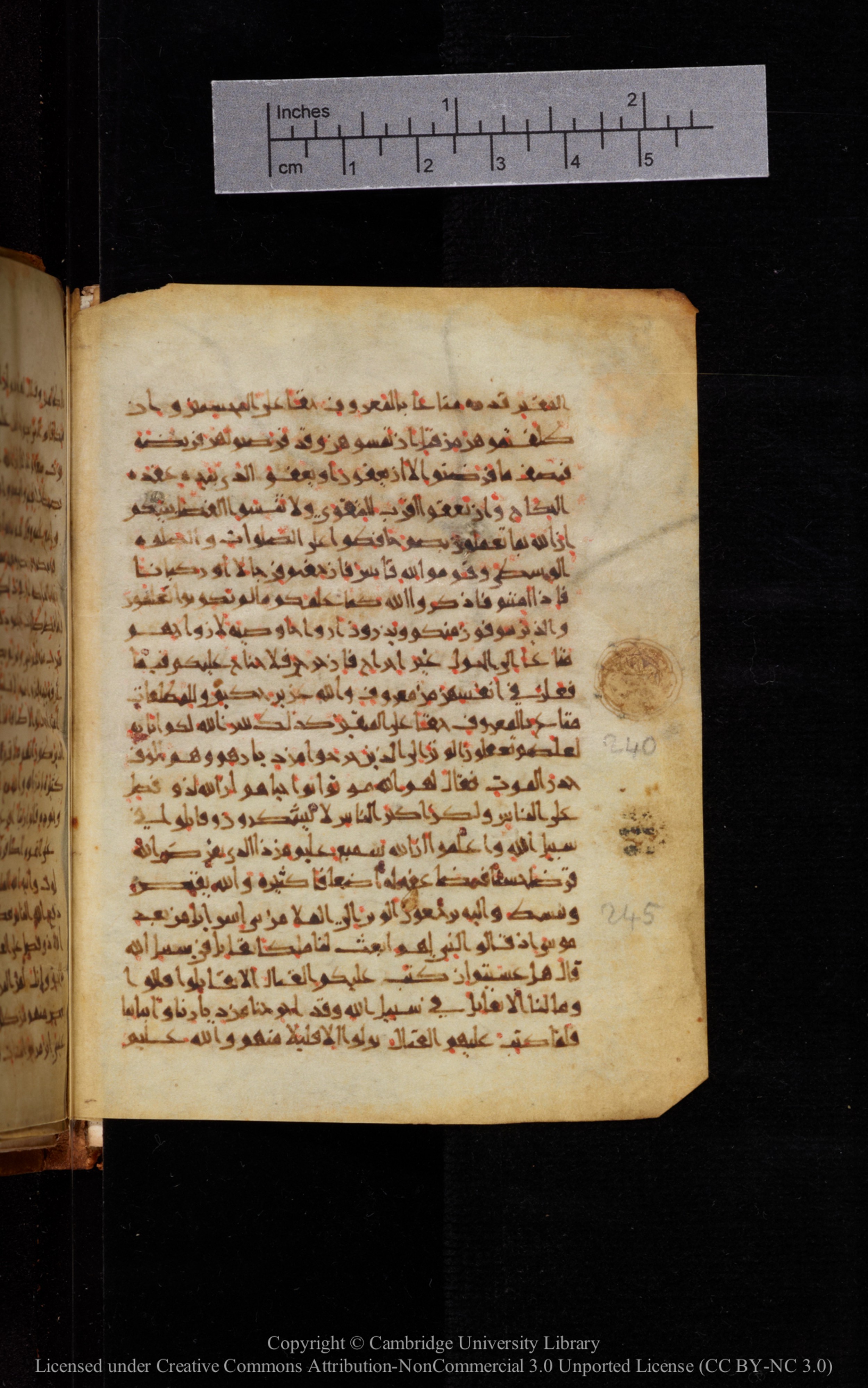 Cambridge University Library MS Add.1113, in new style I script, showing Surah 2:239 from 10th or 11th Century AD found in Sinai Peninsula, currently housed at Cambridge University Library, Cambridge, UK