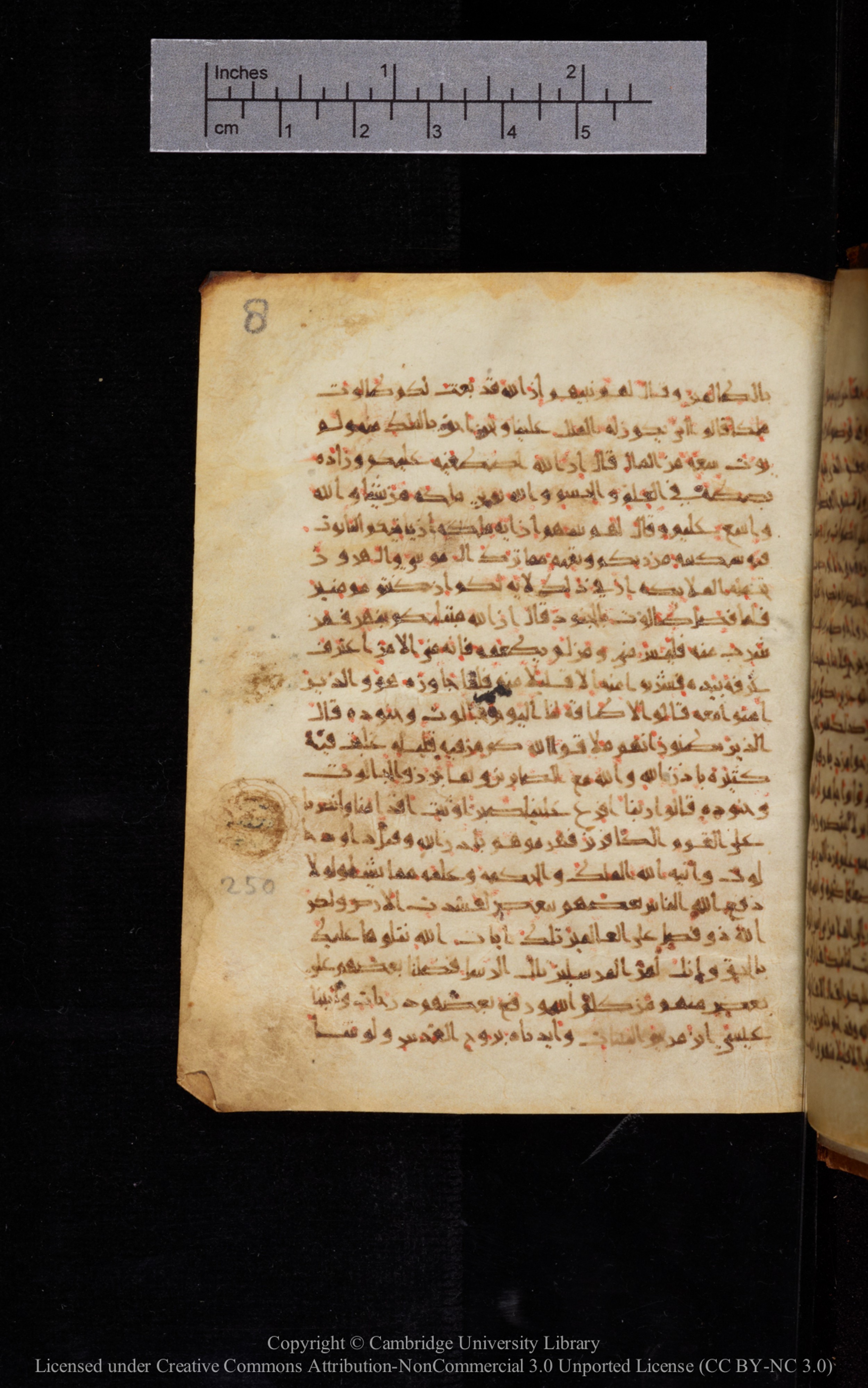 Cambridge University Library MS Add.1113, in new style I script, showing Surah 2:249 from 10th or 11th Century AD found in Sinai Peninsula, currently housed at Cambridge University Library, Cambridge, UK
