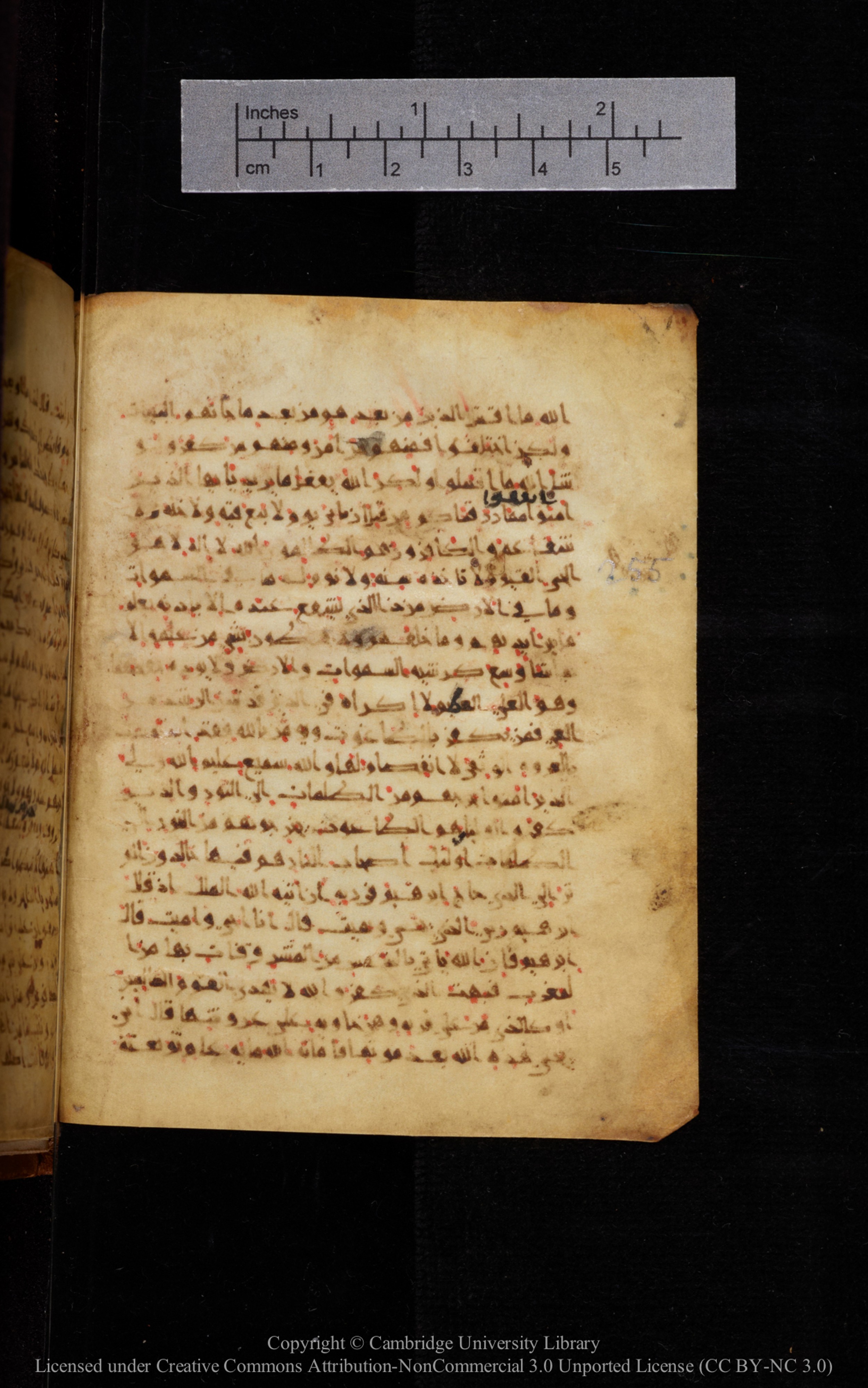 Cambridge University Library MS Add.1113, in new style I script, showing Surah 2:255 from 10th or 11th Century AD found in Sinai Peninsula, currently housed at Cambridge University Library, Cambridge, UK