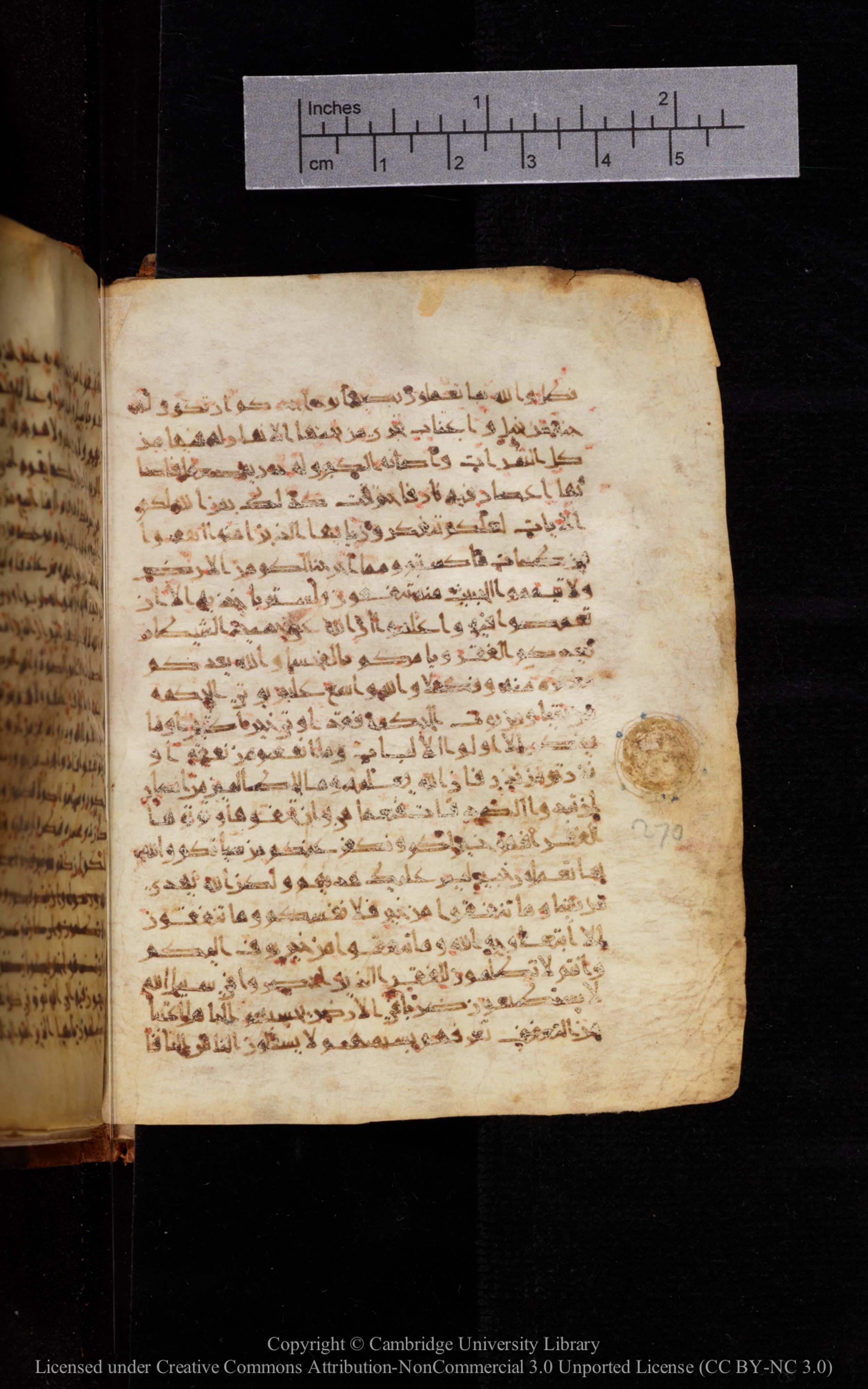 Cambridge University Library MS Add.1113, in new style I script, showing Surah 2:271 from 10th or 11th Century AD found in Sinai Peninsula, currently housed at Cambridge University Library, Cambridge, UK