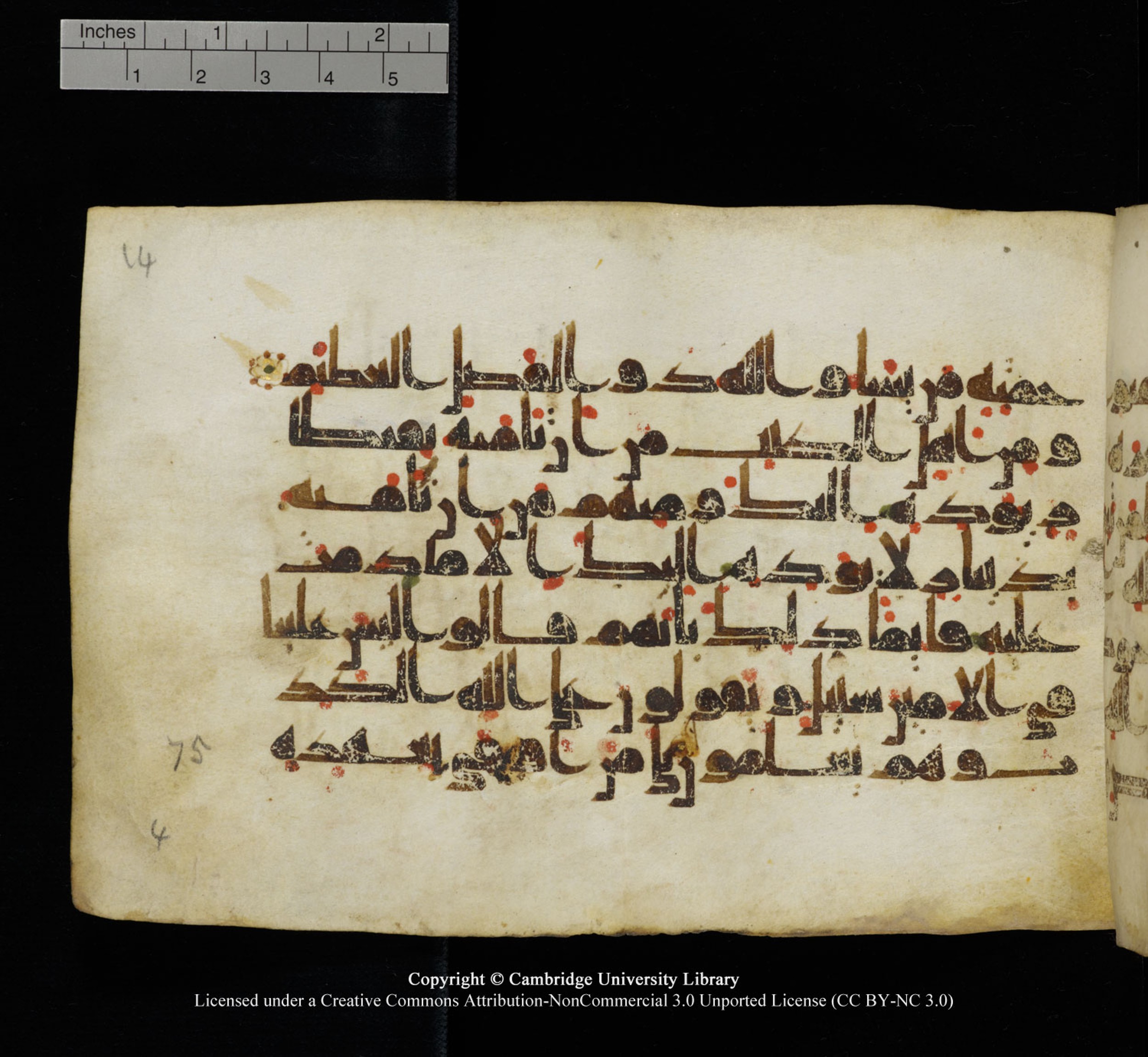 Cambridge University Library, MS Add.1115, in kūfī D Va script, showing Surah 3:75 from 9th or 10th Century AD found in Sinai Peninsula, currently housed at Cambridge University Library, Cambridge