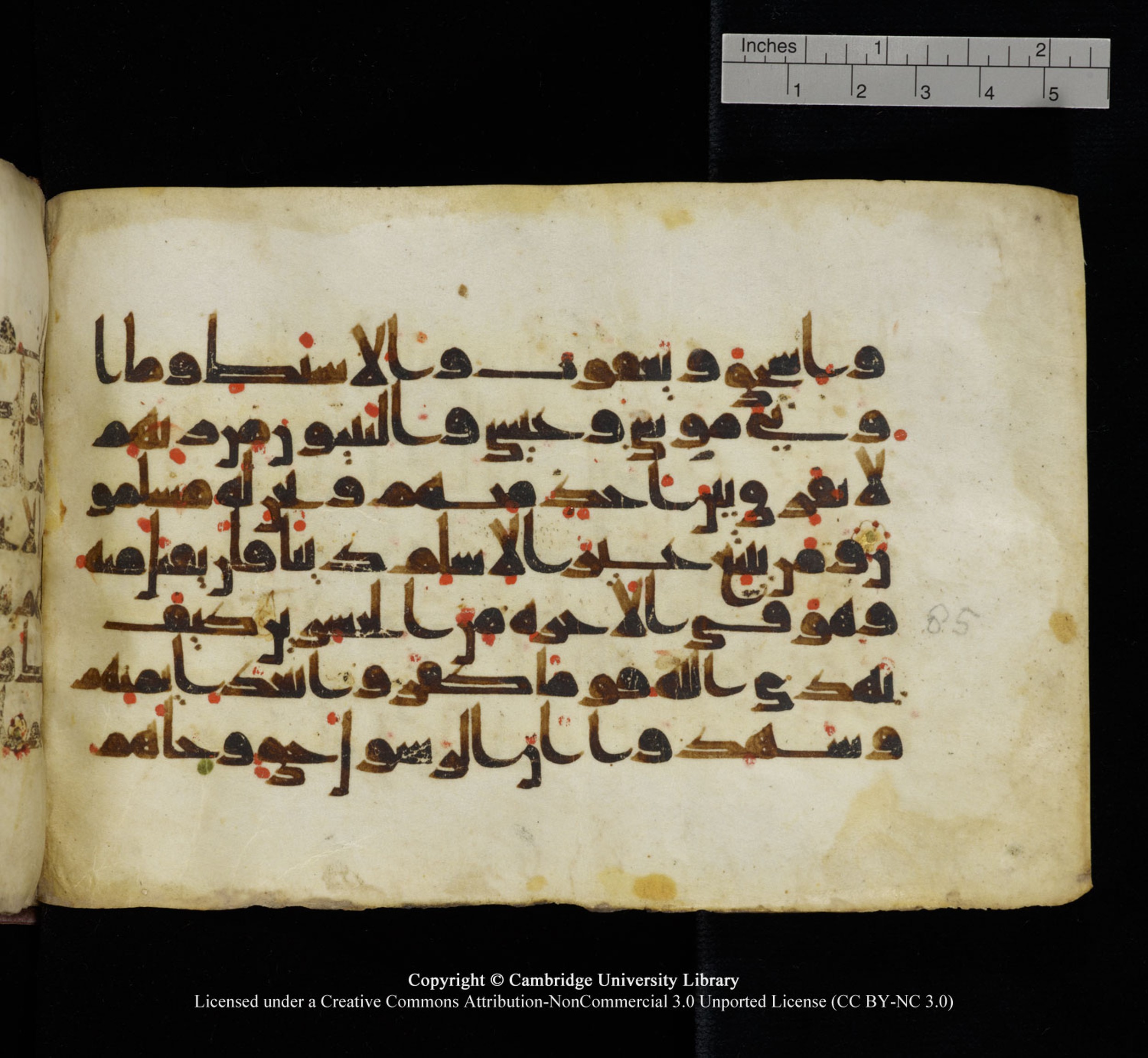 Cambridge University Library, MS Add.1115, in kūfī D Va script, showing Surah 3:85 from 9th or 10th Century AD found in Sinai Peninsula, currently housed at Cambridge University Library, Cambridge