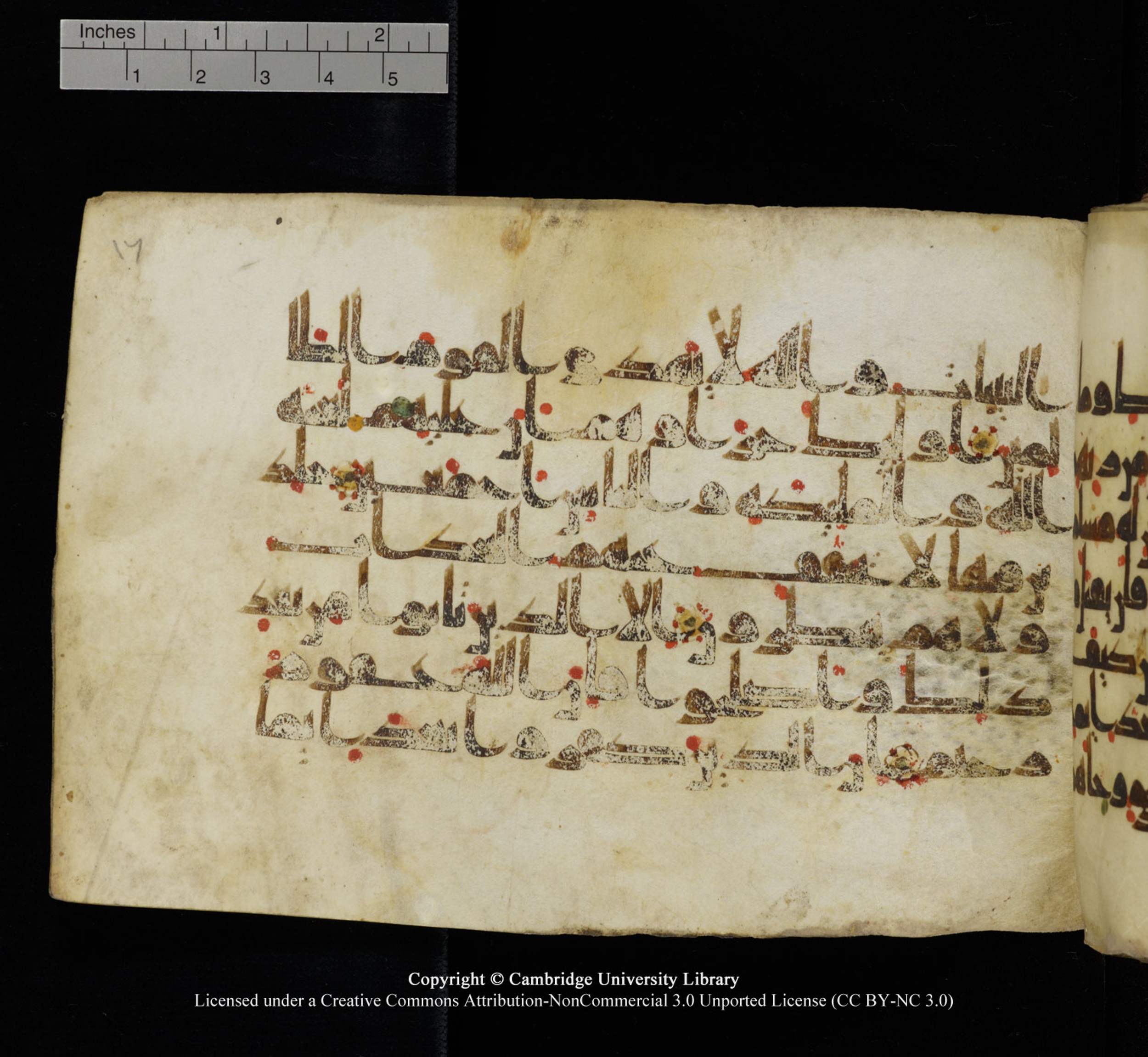 Cambridge University Library, MS Add.1115, in kūfī D Va script, showing Surah 3:89 from 9th or 10th Century AD found in Sinai Peninsula, currently housed at Cambridge University Library, Cambridge