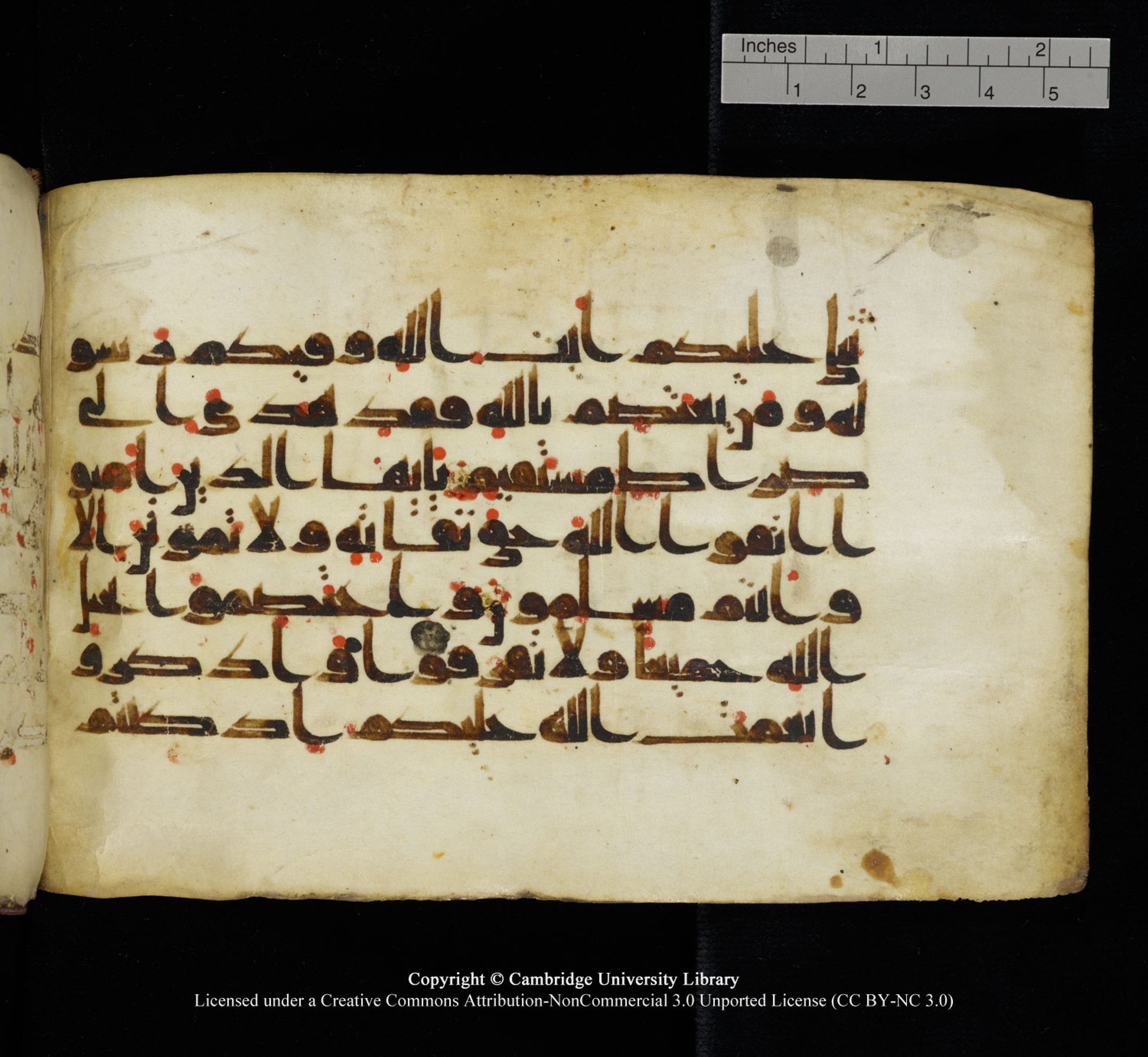 Cambridge University Library, MS Add.1115 (Scan 1), in kūfī D Va script, showing Surah 3:103 from 9th or 10th Century AD found in Sinai Peninsula, currently housed at Cambridge University Library, Cambridge