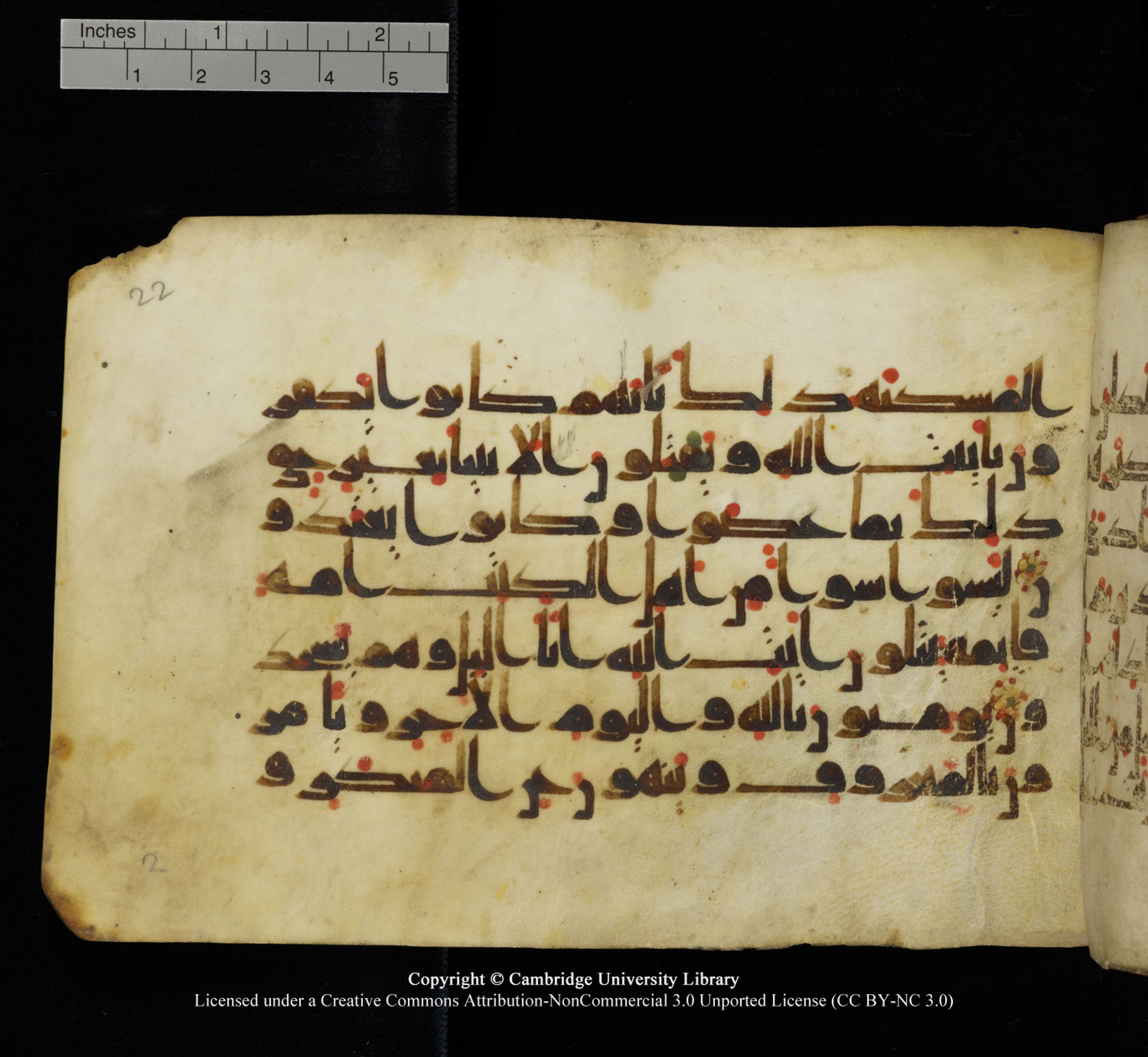 Cambridge University Library, MS Add.1115 (Scan 1), in kūfī D Va script, showing Surah 3:114 from 9th or 10th Century AD found in Sinai Peninsula, currently housed at Cambridge University Library, Cambridge