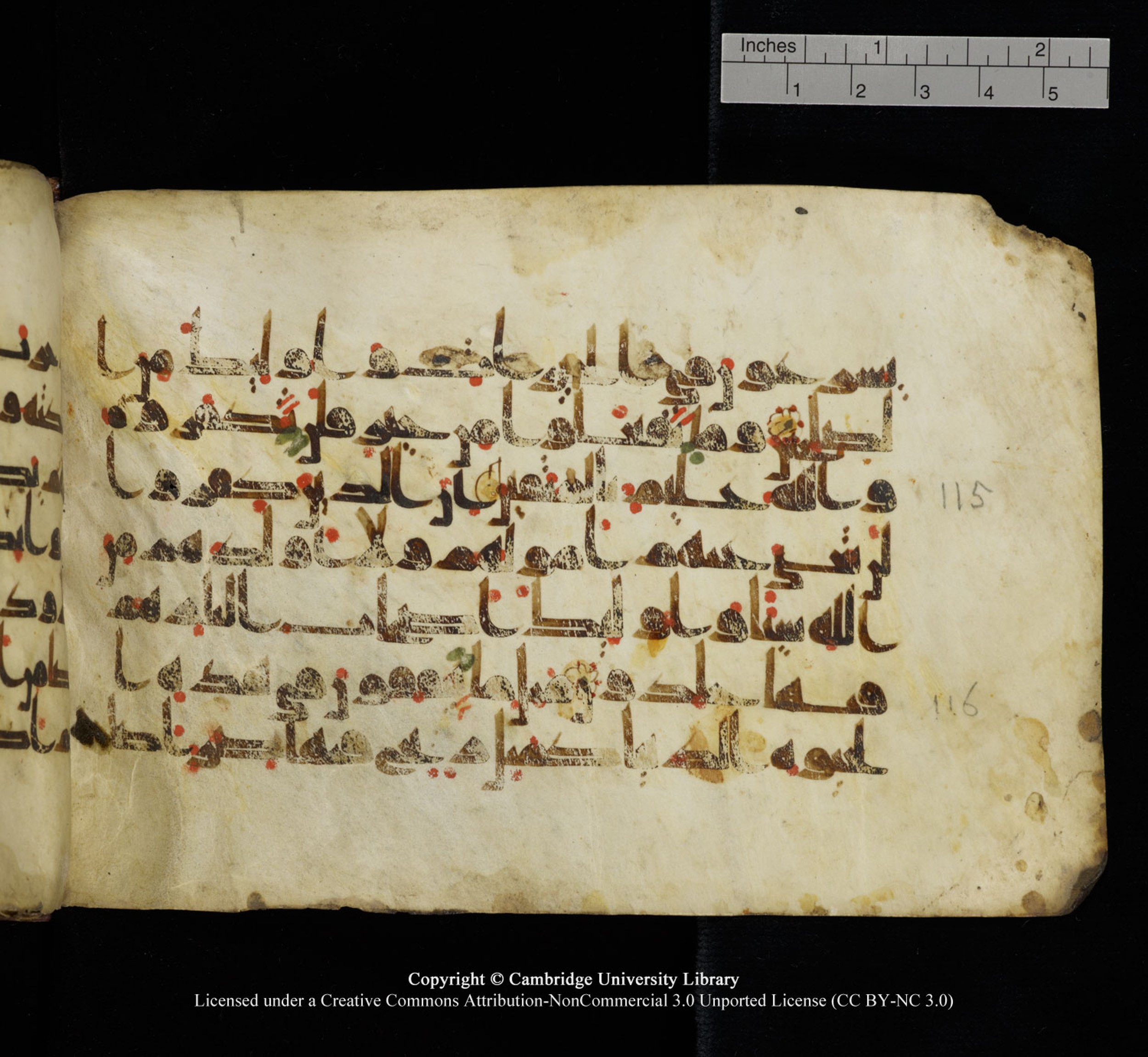 Cambridge University Library, MS Add.1115, in kūfī D Va script, showing Surah 3:116 from 9th or 10th Century AD found in Sinai Peninsula, currently housed at Cambridge University Library, Cambridge