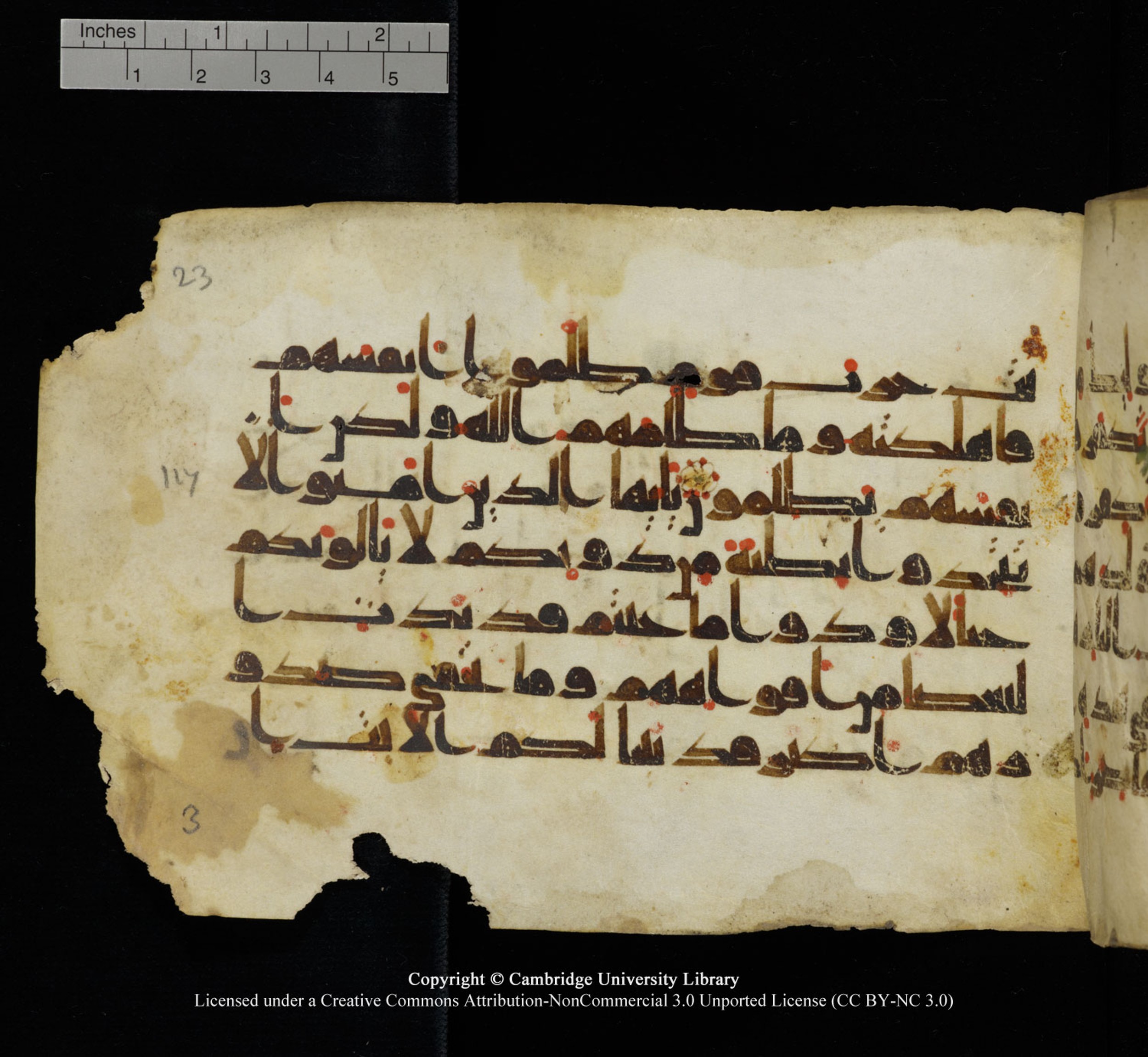 Cambridge University Library, MS Add.1115 (Scan 1), in kūfī D Va script, showing Surah 3:118 from 9th or 10th Century AD found in Sinai Peninsula, currently housed at Cambridge University Library, Cambridge