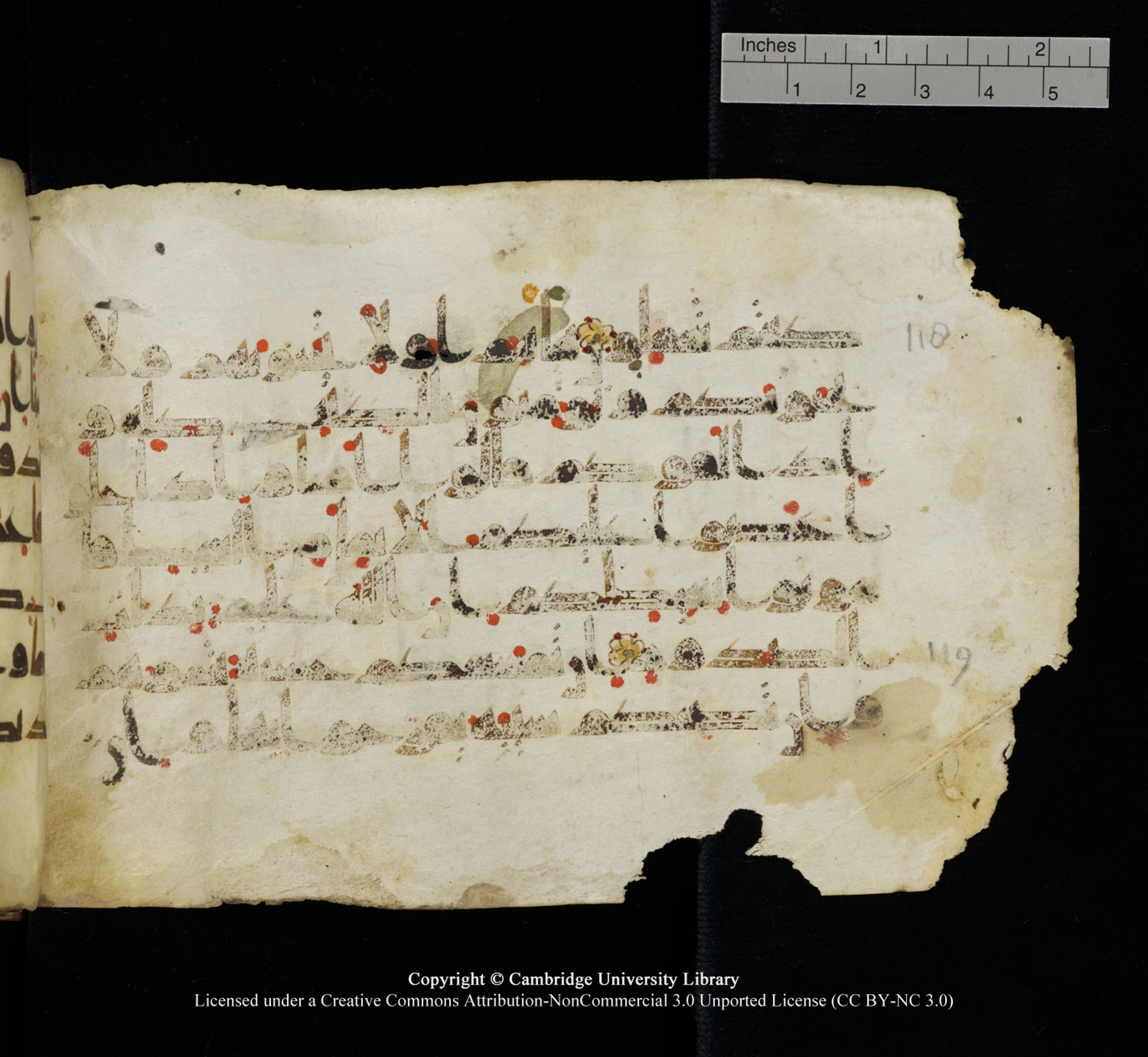 Cambridge University Library, MS Add.1115, in kūfī D Va script, showing Surah 3:119 from 9th or 10th Century AD found in Sinai Peninsula, currently housed at Cambridge University Library, Cambridge