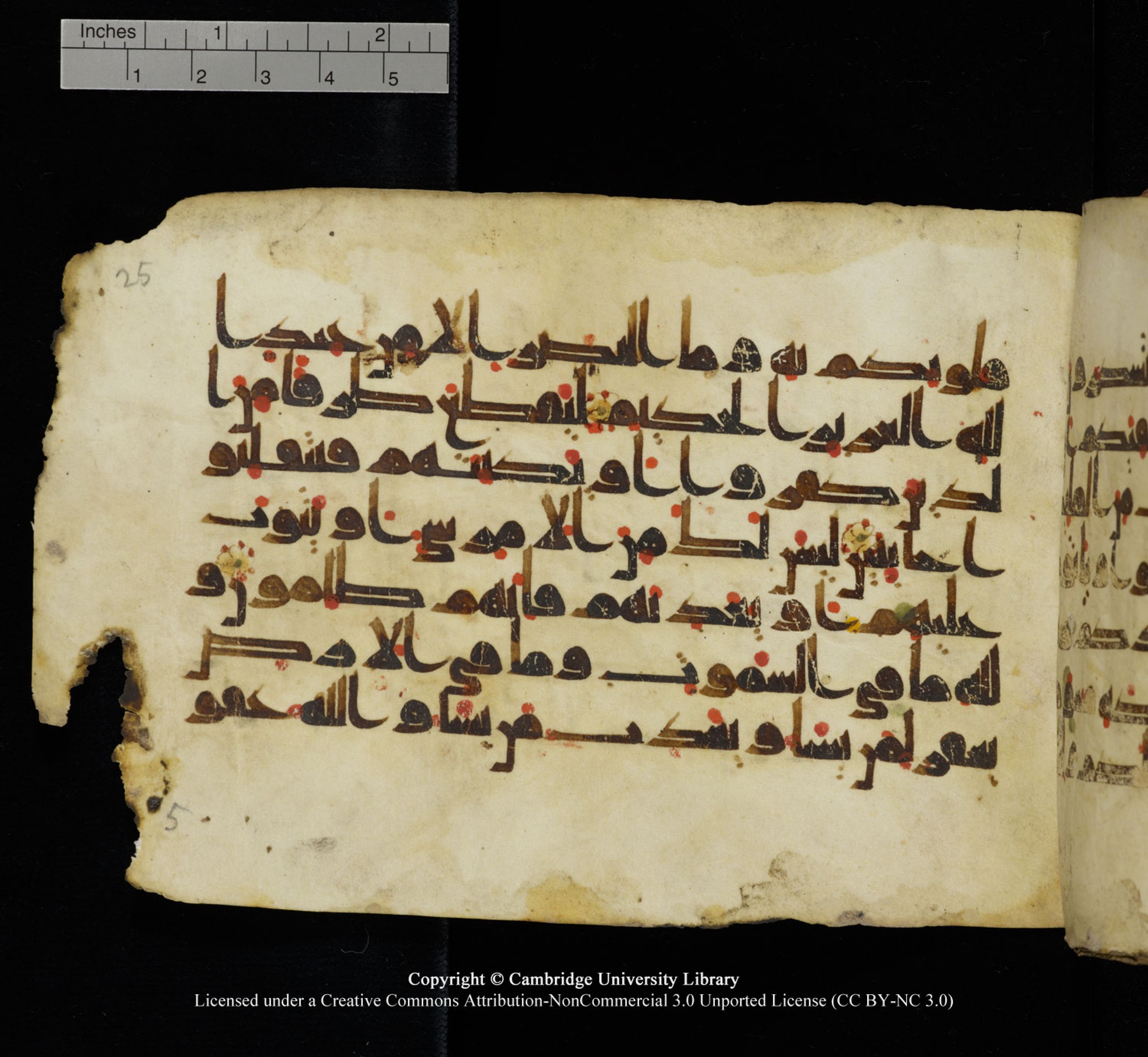 Cambridge University Library, MS Add.1115 (Scan 1), in kūfī D Va script, showing Surah 3:129 from 9th or 10th Century AD found in Sinai Peninsula, currently housed at Cambridge University Library, Cambridge