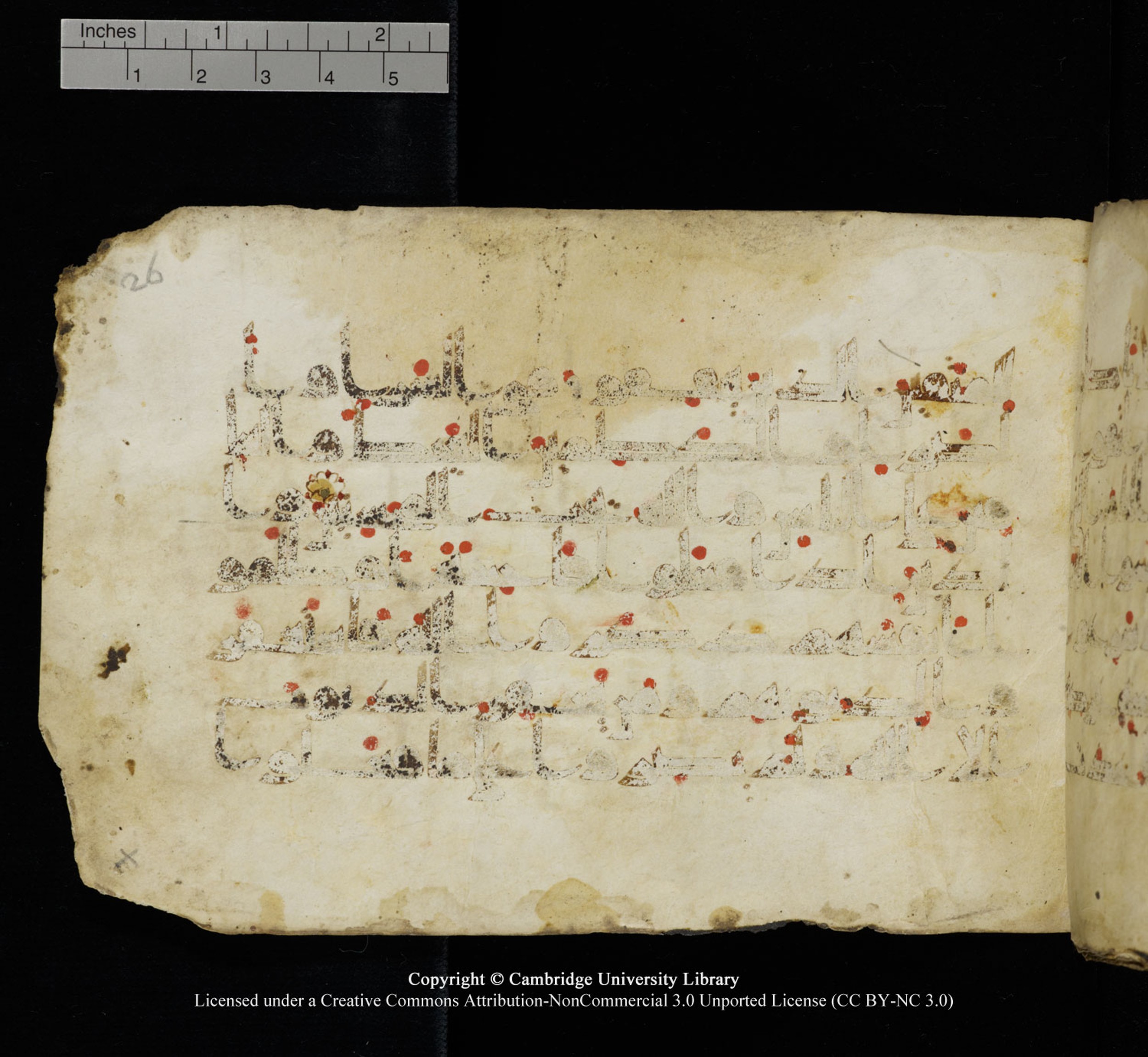 Cambridge University Library, MS Add.1115 (Scan 2), in kūfī D Va script, showing Surah 3:133 from 9th or 10th Century AD found in Sinai Peninsula, currently housed at Cambridge University Library, Cambridge