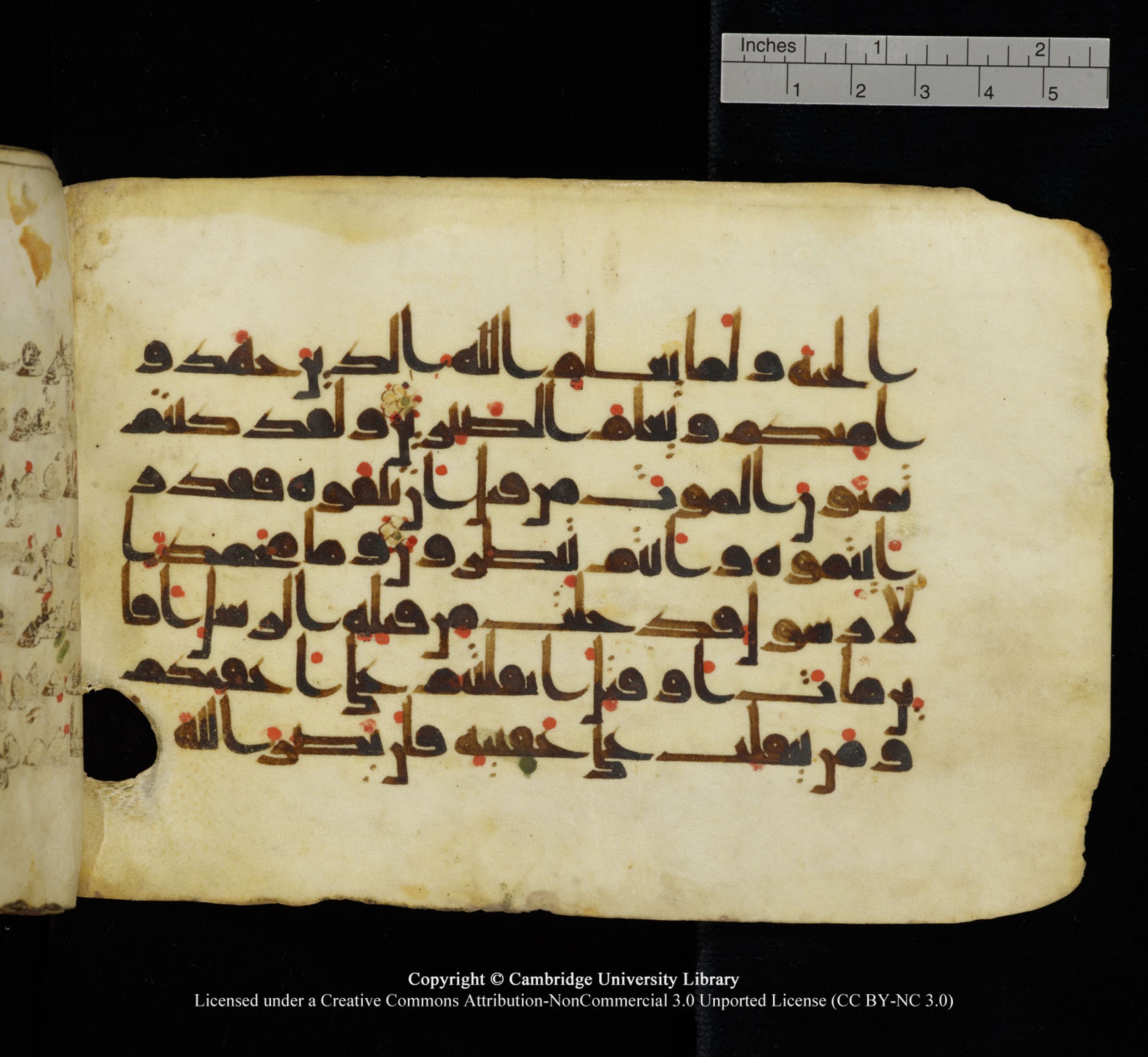 Cambridge University Library, MS Add.1115 (Scan 1), in kūfī D Va script, showing Surah 3:144 from 9th or 10th Century AD found in Sinai Peninsula, currently housed at Cambridge University Library, Cambridge