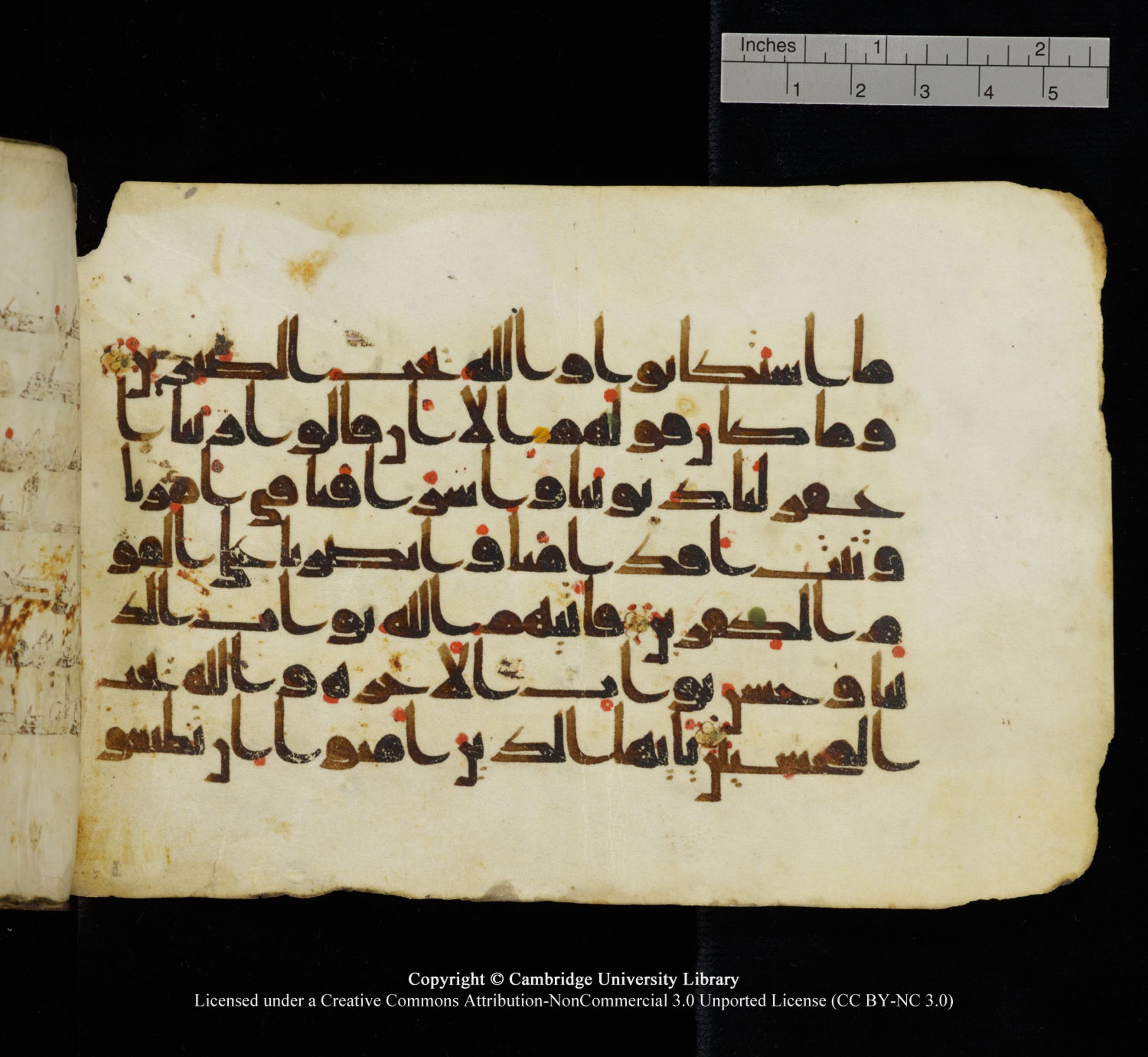 Cambridge University Library, MS Add.1115 (Scan 1), in kūfī D Va script, showing Surah 3:149 from 9th or 10th Century AD found in Sinai Peninsula, currently housed at Cambridge University Library, Cambridge
