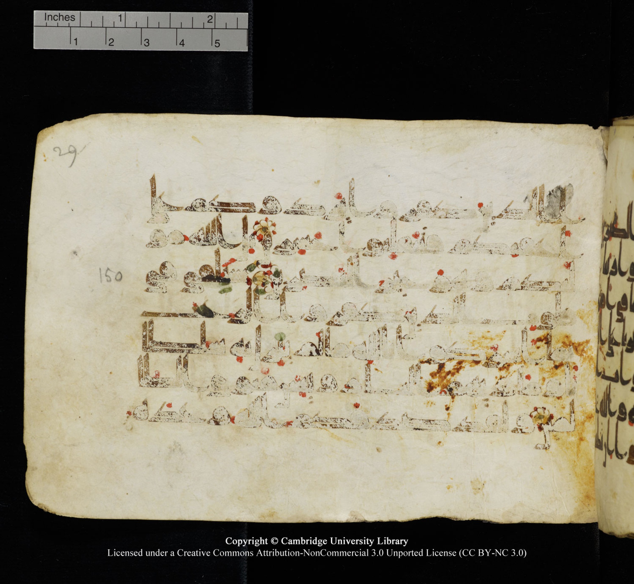Cambridge University Library, MS Add.1115 (Scan 1), in kūfī D Va script, showing Surah 3:152 from 9th or 10th Century AD found in Sinai Peninsula, currently housed at Cambridge University Library, Cambridge