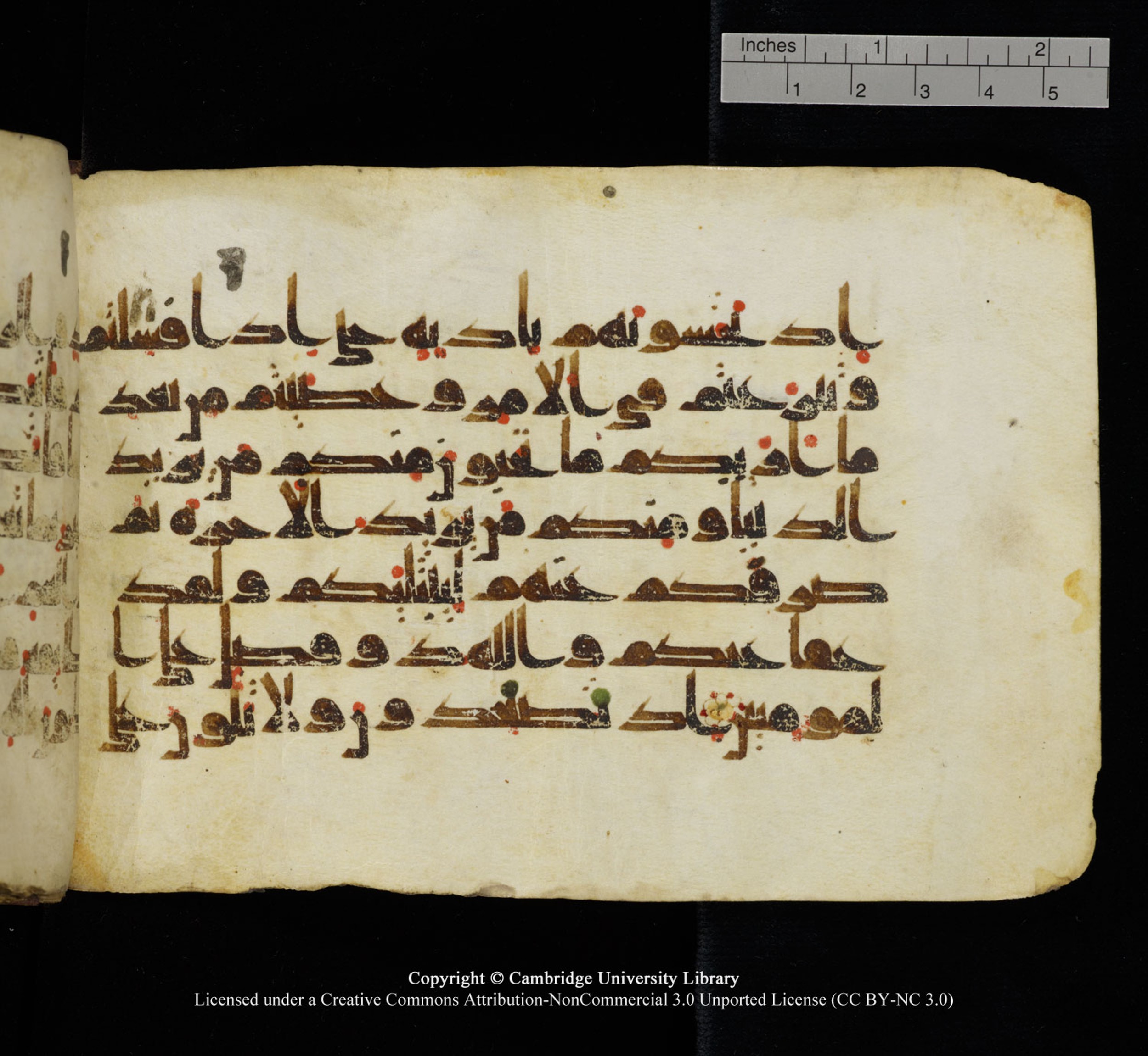 Cambridge University Library, MS Add.1115 (Scan 2), in kūfī D Va script, showing Surah 3:152 from 9th or 10th Century AD found in Sinai Peninsula, currently housed at Cambridge University Library, Cambridge