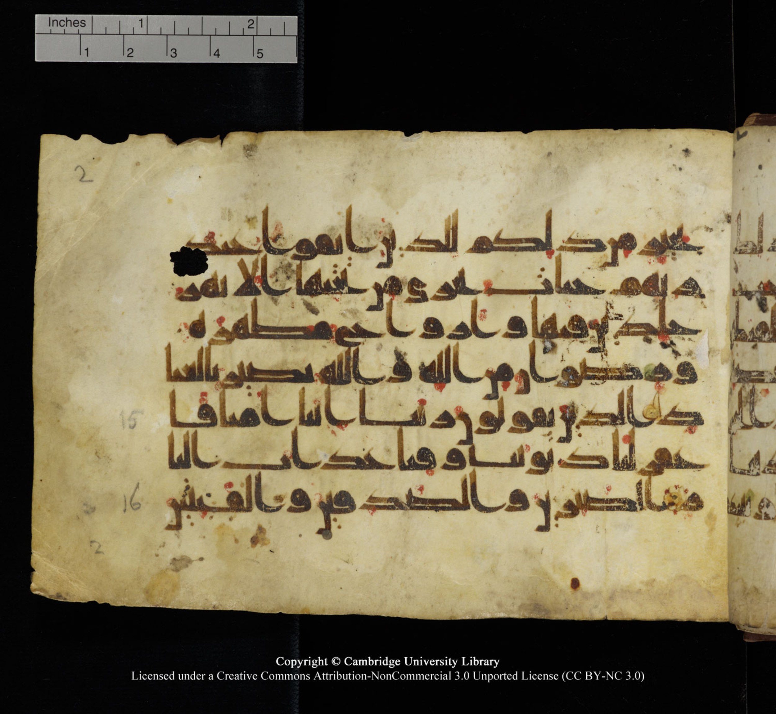 Cambridge University Library, MS Add.1115, in kūfī D Va script, showing Surah 3:16 from 9th or 10th Century AD found in Sinai Peninsula, currently housed at Cambridge University Library, Cambridge