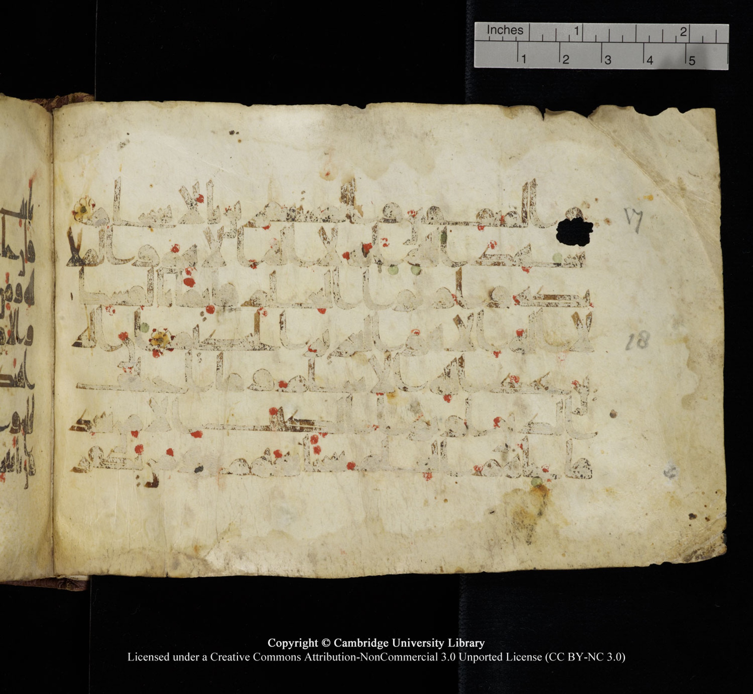 Cambridge University Library, MS Add.1115 (Scan 2), in kūfī D Va script, showing Surah 3:17 from 9th or 10th Century AD found in Sinai Peninsula, currently housed at Cambridge University Library, Cambridge