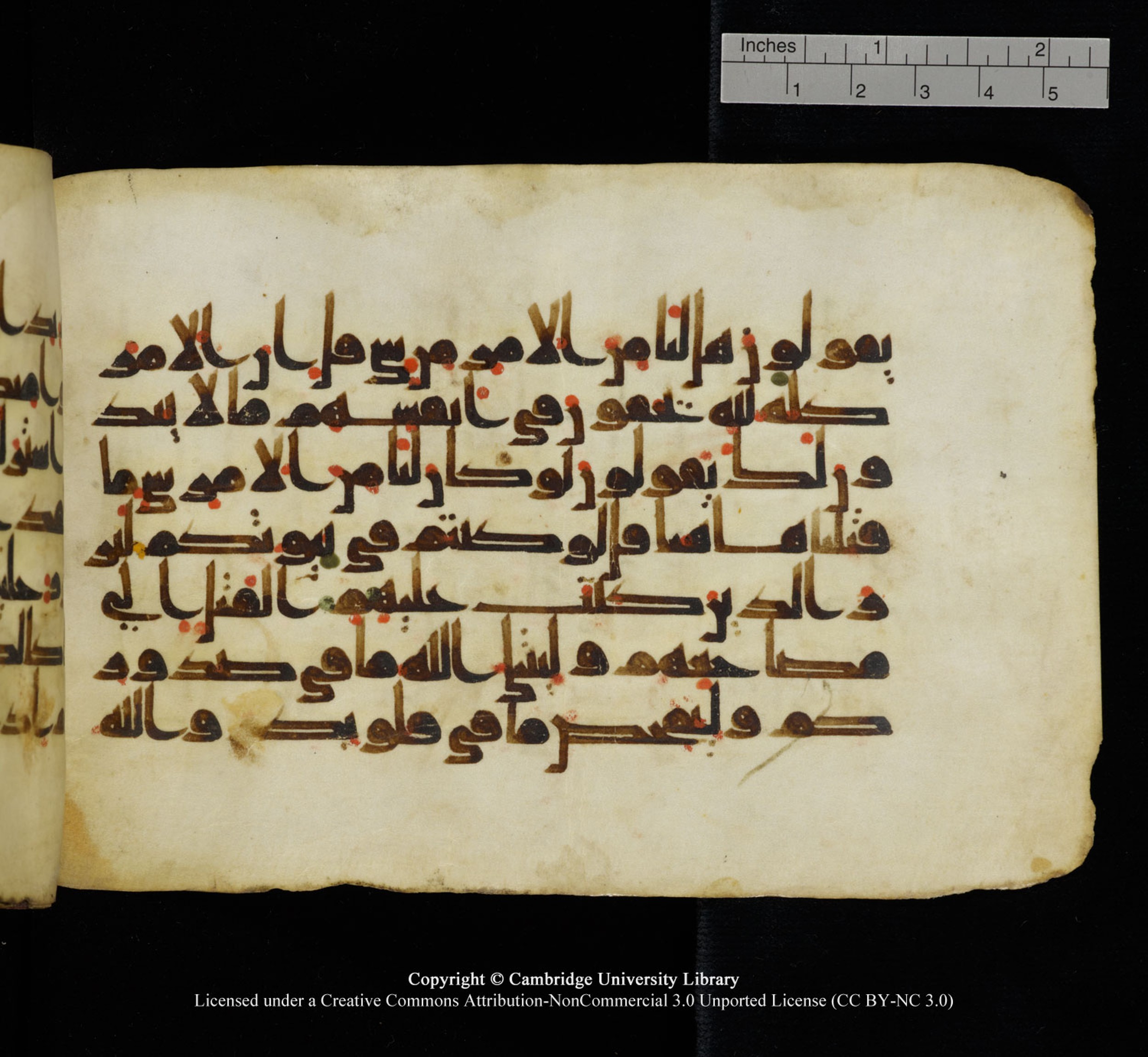 Cambridge University Library, MS Add.1115 (Scan 2), in kūfī D Va script, showing Surah 3:154 from 9th or 10th Century AD found in Sinai Peninsula, currently housed at Cambridge University Library, Cambridge