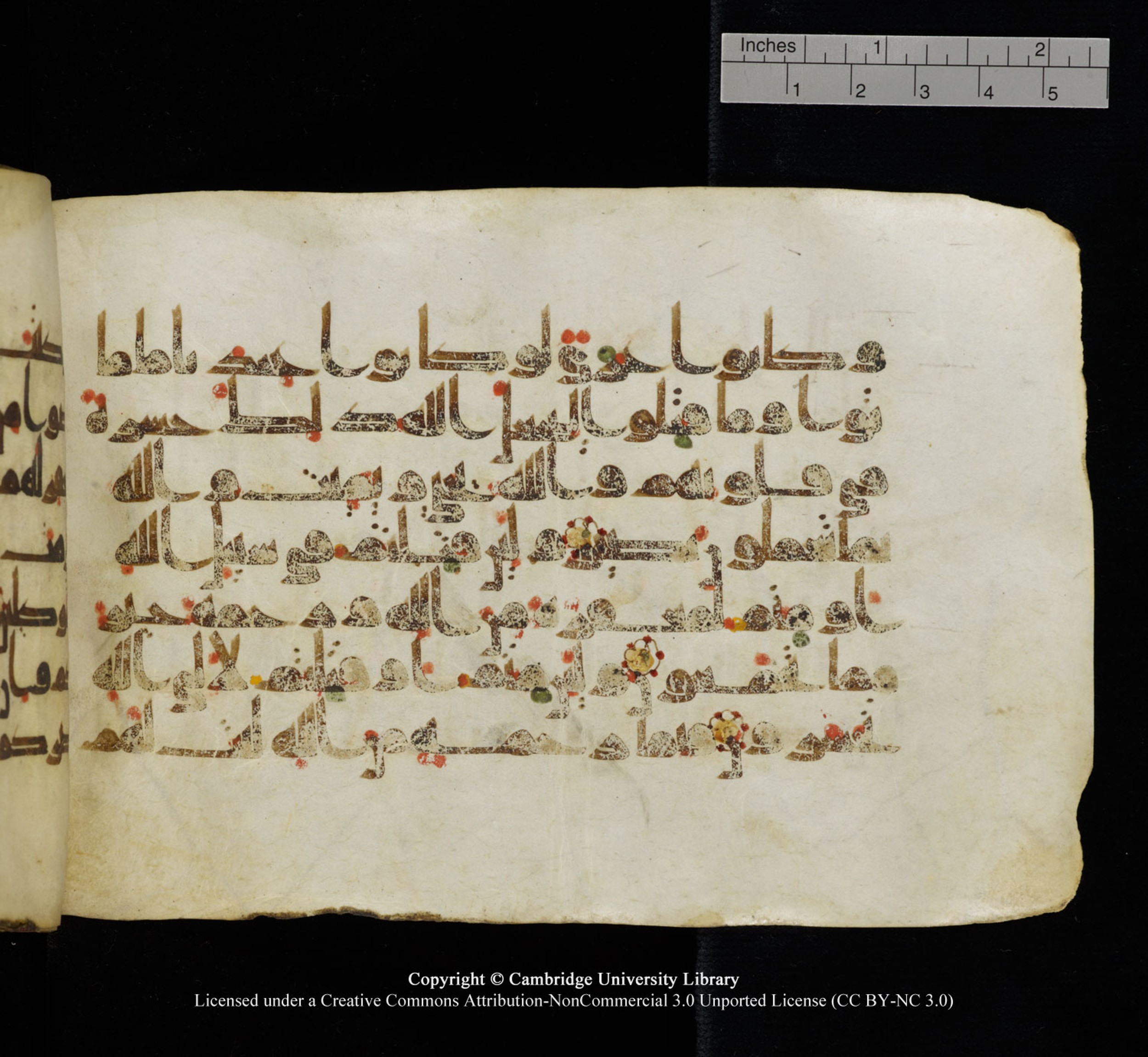 Cambridge University Library, MS Add.1115 (Scan 1), in kūfī D Va script, showing Surah 3:159 from 9th or 10th Century AD found in Sinai Peninsula, currently housed at Cambridge University Library, Cambridge