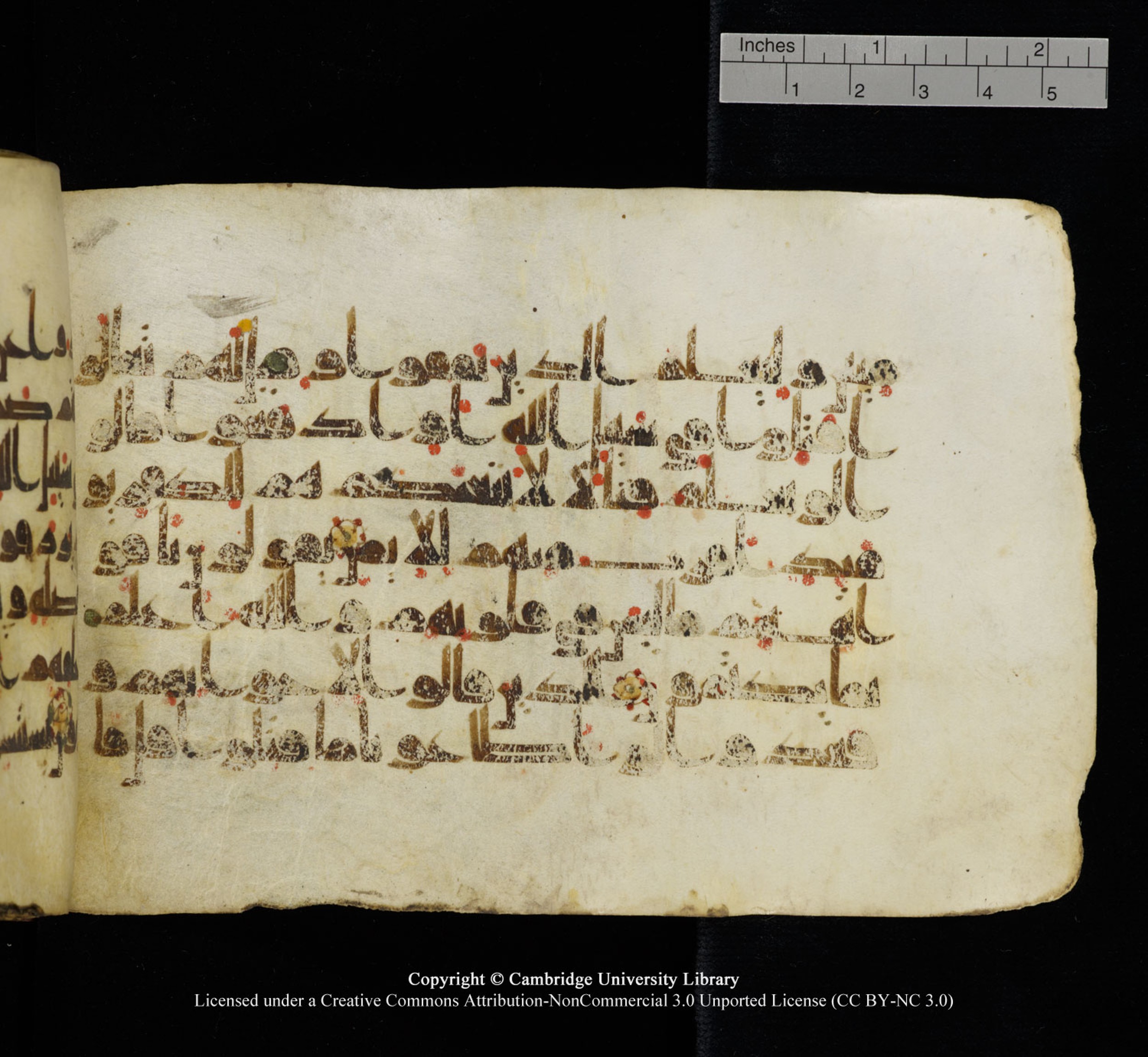 Cambridge University Library, MS Add.1115 (Scan 2), in kūfī D Va script, showing Surah 3:166 from 9th or 10th Century AD found in Sinai Peninsula, currently housed at Cambridge University Library, Cambridge