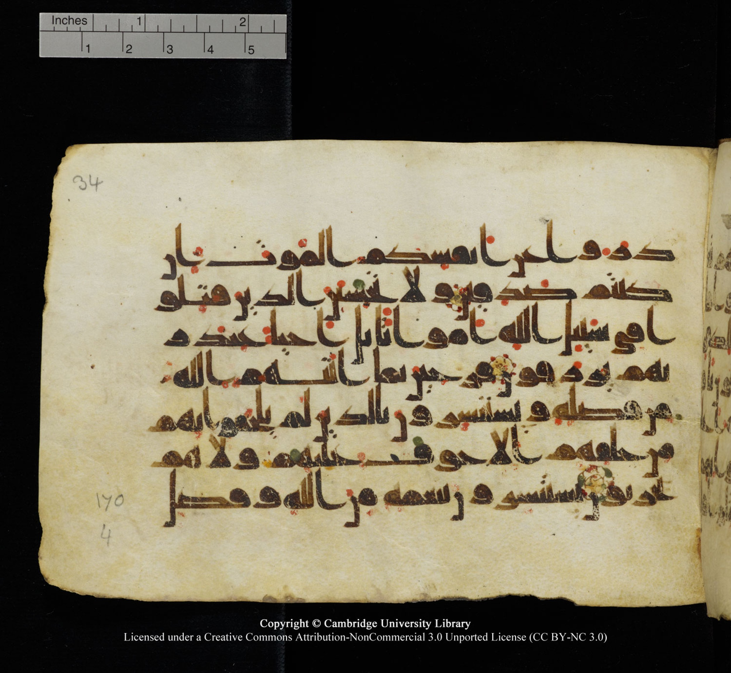 Cambridge University Library, MS Add.1115, in kūfī D Va script, showing Surah 3:169 from 9th or 10th Century AD found in Sinai Peninsula, currently housed at Cambridge University Library, Cambridge