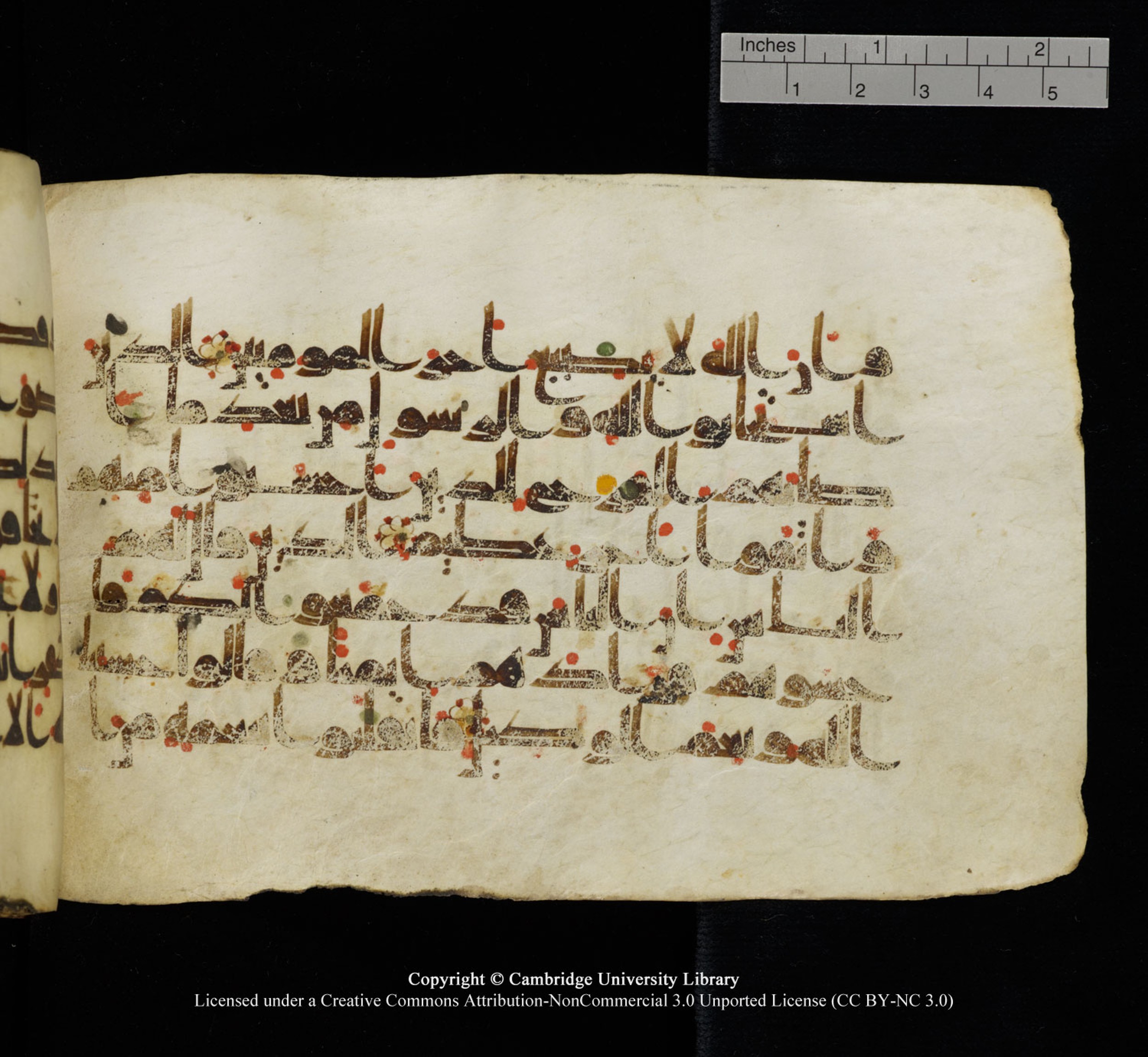 Cambridge University Library, MS Add.1115 (Scan 1), in kūfī D Va script, showing Surah 3:174 from 9th or 10th Century AD found in Sinai Peninsula, currently housed at Cambridge University Library, Cambridge