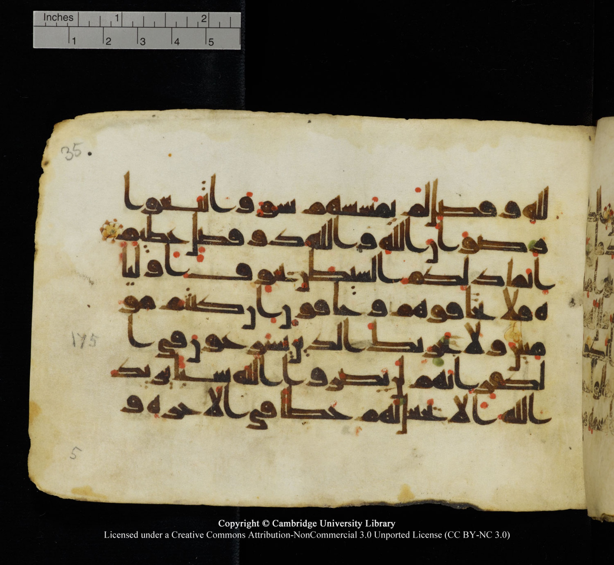 Cambridge University Library, MS Add.1115, in kūfī D Va script, showing Surah 3:175 from 9th or 10th Century AD found in Sinai Peninsula, currently housed at Cambridge University Library, Cambridge