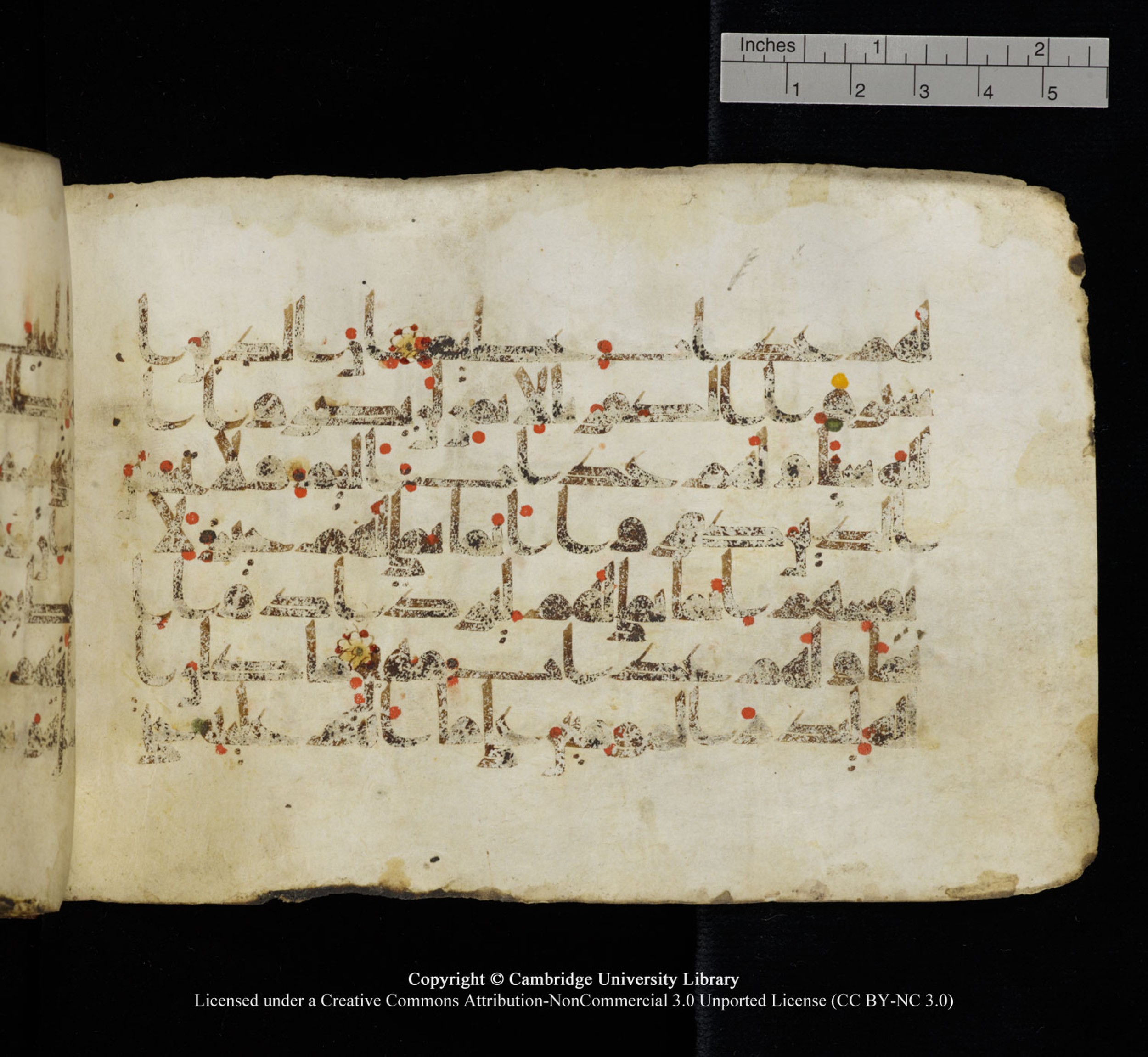 Cambridge University Library, MS Add.1115 (Scan 2), in kūfī D Va script, showing Surah 3:176 from 9th or 10th Century AD found in Sinai Peninsula, currently housed at Cambridge University Library, Cambridge