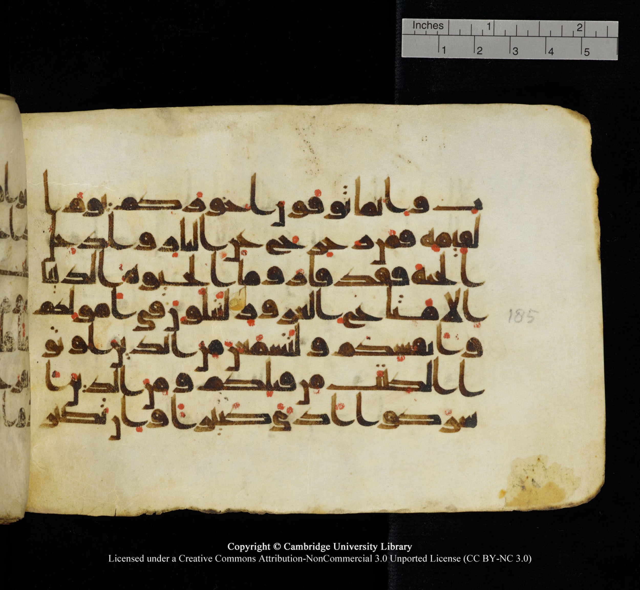 Cambridge University Library, MS Add.1115 (Scan 1), in kūfī D Va script, showing Surah 3:186 from 9th or 10th Century AD found in Sinai Peninsula, currently housed at Cambridge University Library, Cambridge