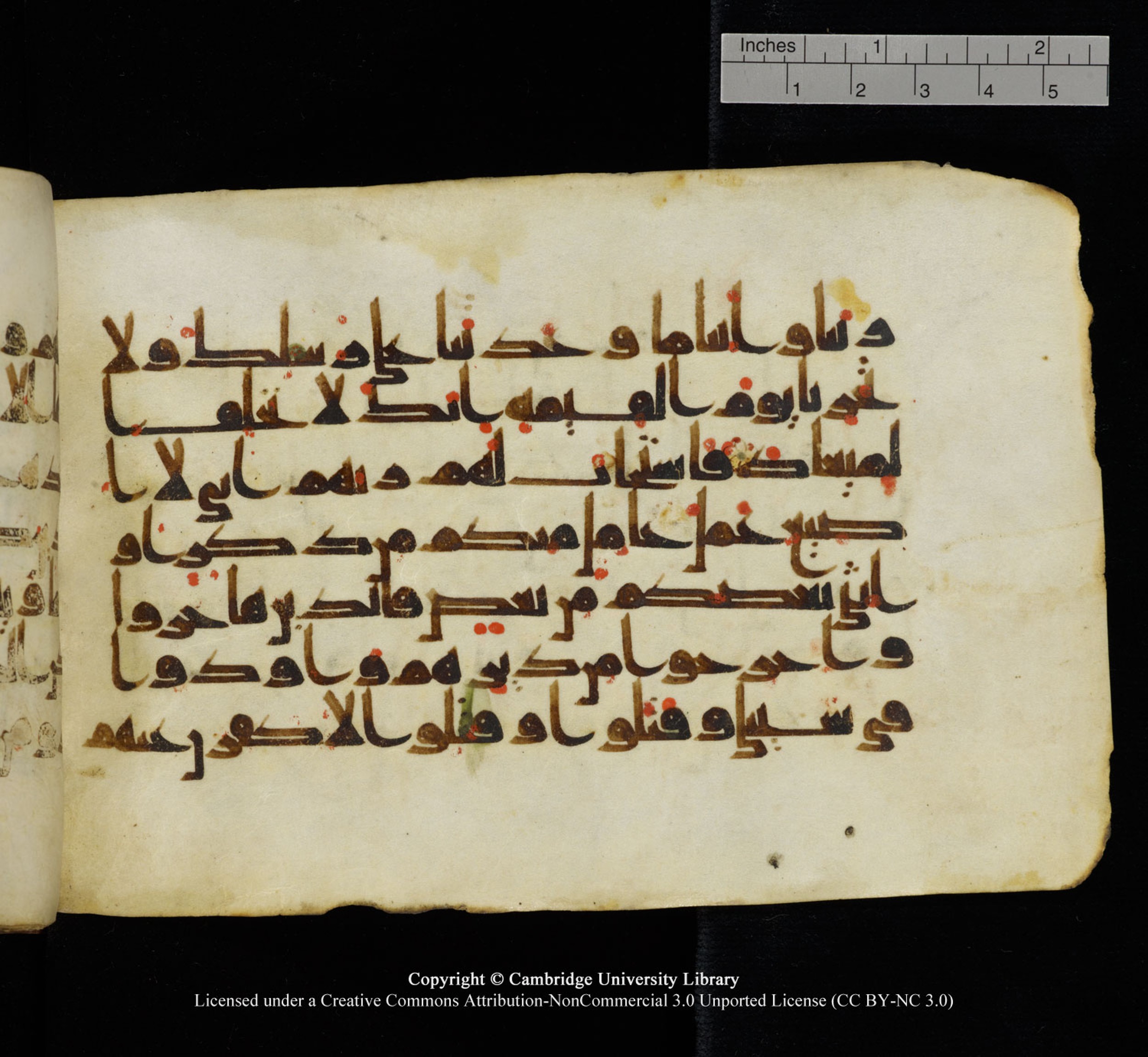 Cambridge University Library, MS Add.1115, in kūfī D Va script, showing Surah 3:194 from 9th or 10th Century AD found in Sinai Peninsula, currently housed at Cambridge University Library, Cambridge