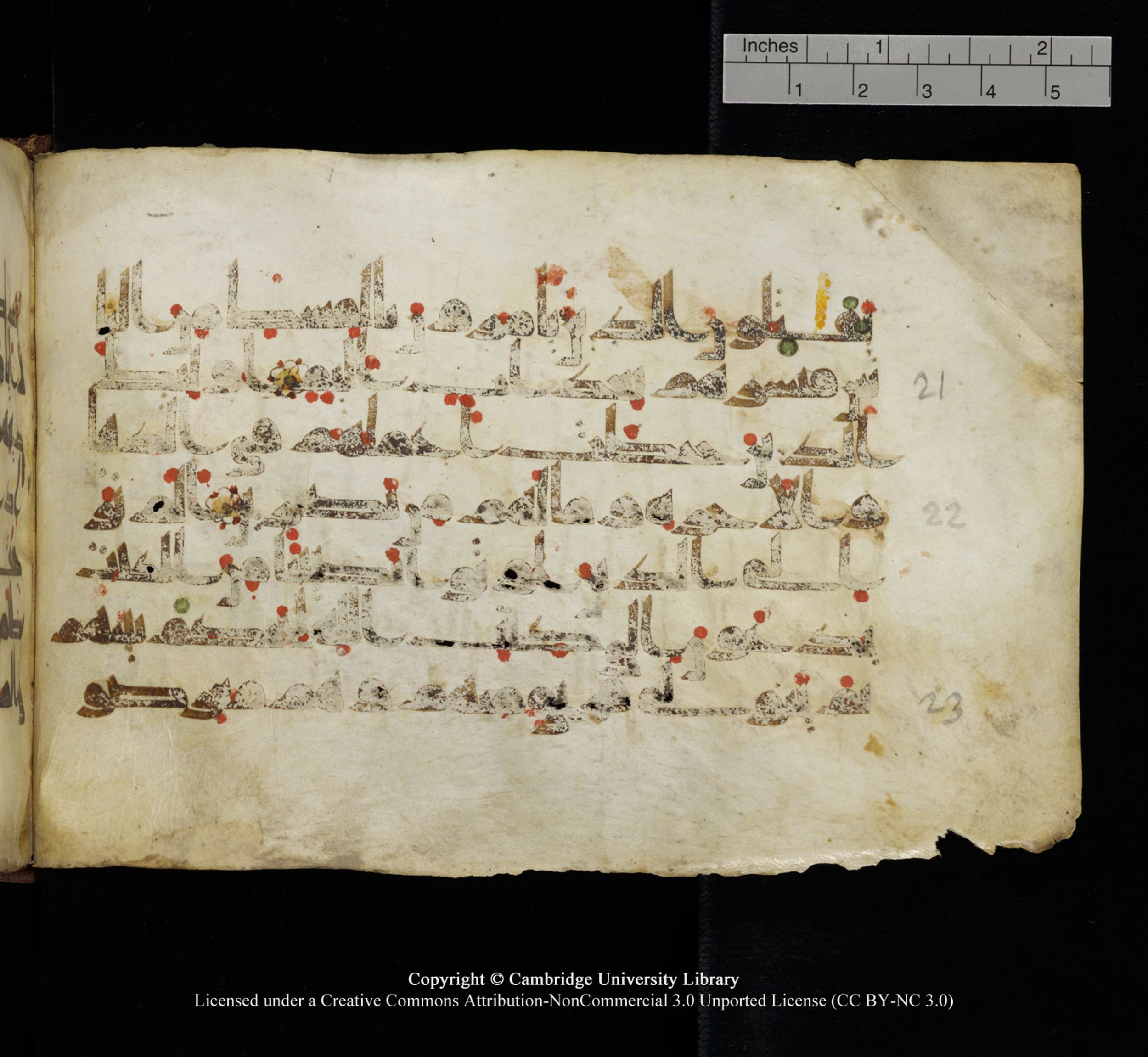 Cambridge University Library, MS Add.1115 (Scan 2), in kūfī D Va script, showing Surah 3:21 from 9th or 10th Century AD found in Sinai Peninsula, currently housed at Cambridge University Library, Cambridge