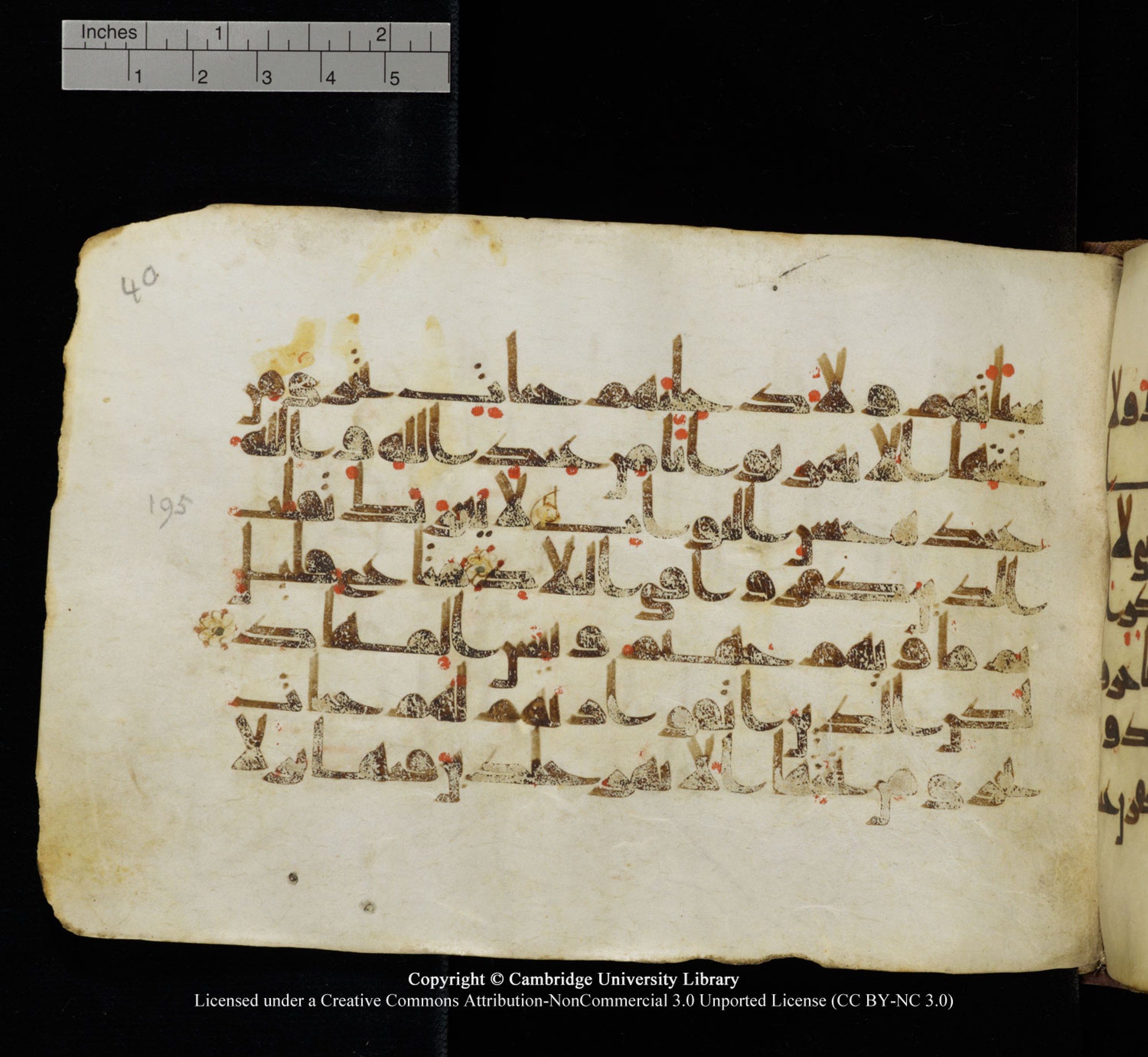 Cambridge University Library, MS Add.1115 (Scan 1), in kūfī D Va script, showing Surah 3:198 from 9th or 10th Century AD found in Sinai Peninsula, currently housed at Cambridge University Library, Cambridge