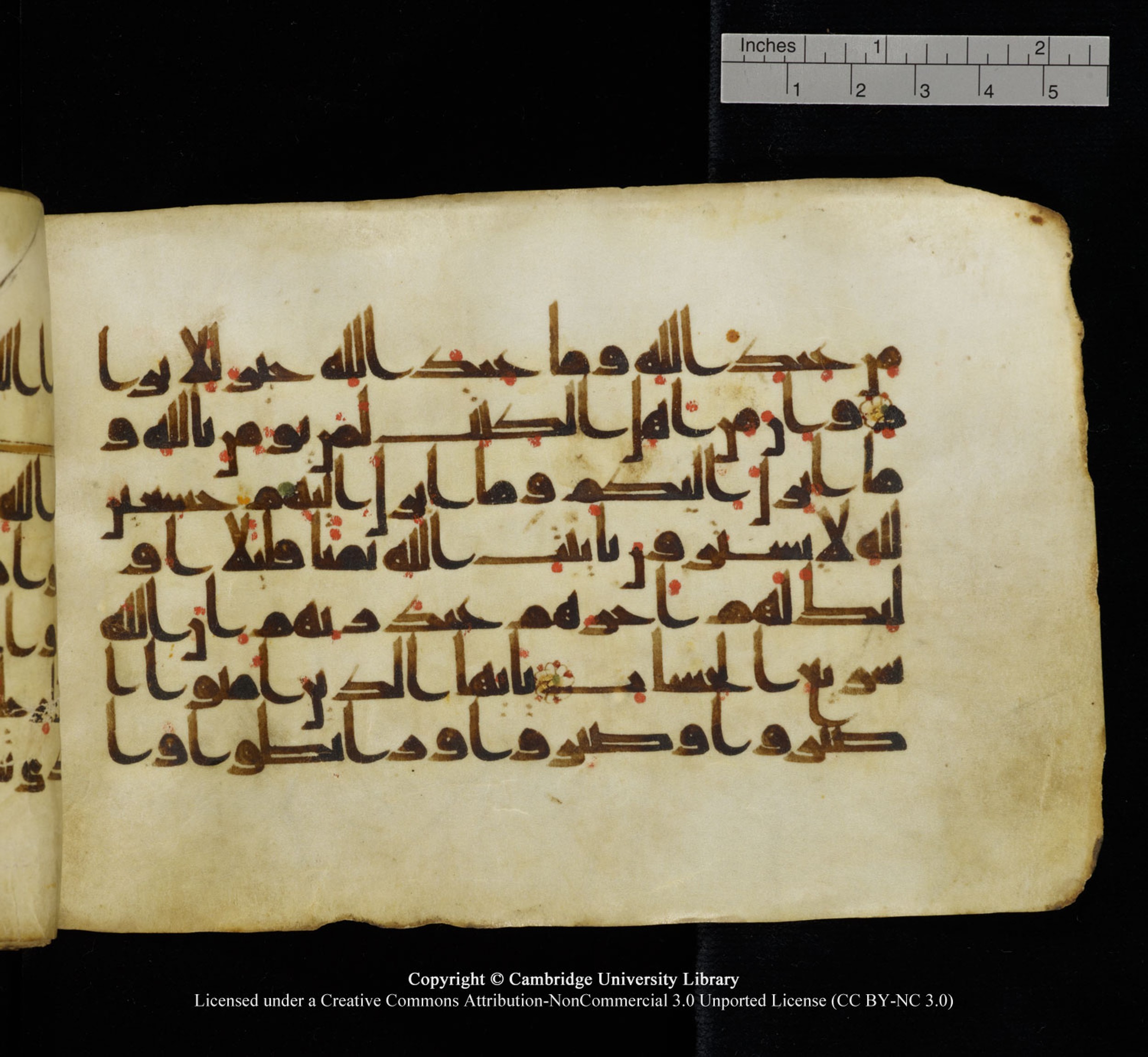 Cambridge University Library, MS Add.1115, in kūfī D Va script, showing Surah 3:199 from 9th or 10th Century AD found in Sinai Peninsula, currently housed at Cambridge University Library, Cambridge