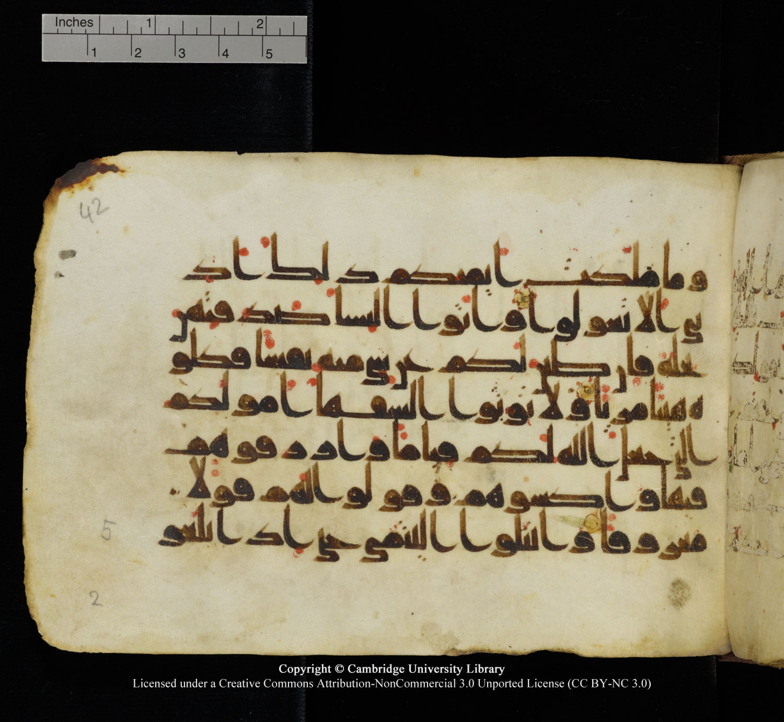 Cambridge University Library, MS Add.1115 (Scan 2), in kūfī D Va script, showing Surah 4:3 from 9th or 10th Century AD found in Sinai Peninsula, currently housed at Cambridge University Library, Cambridge