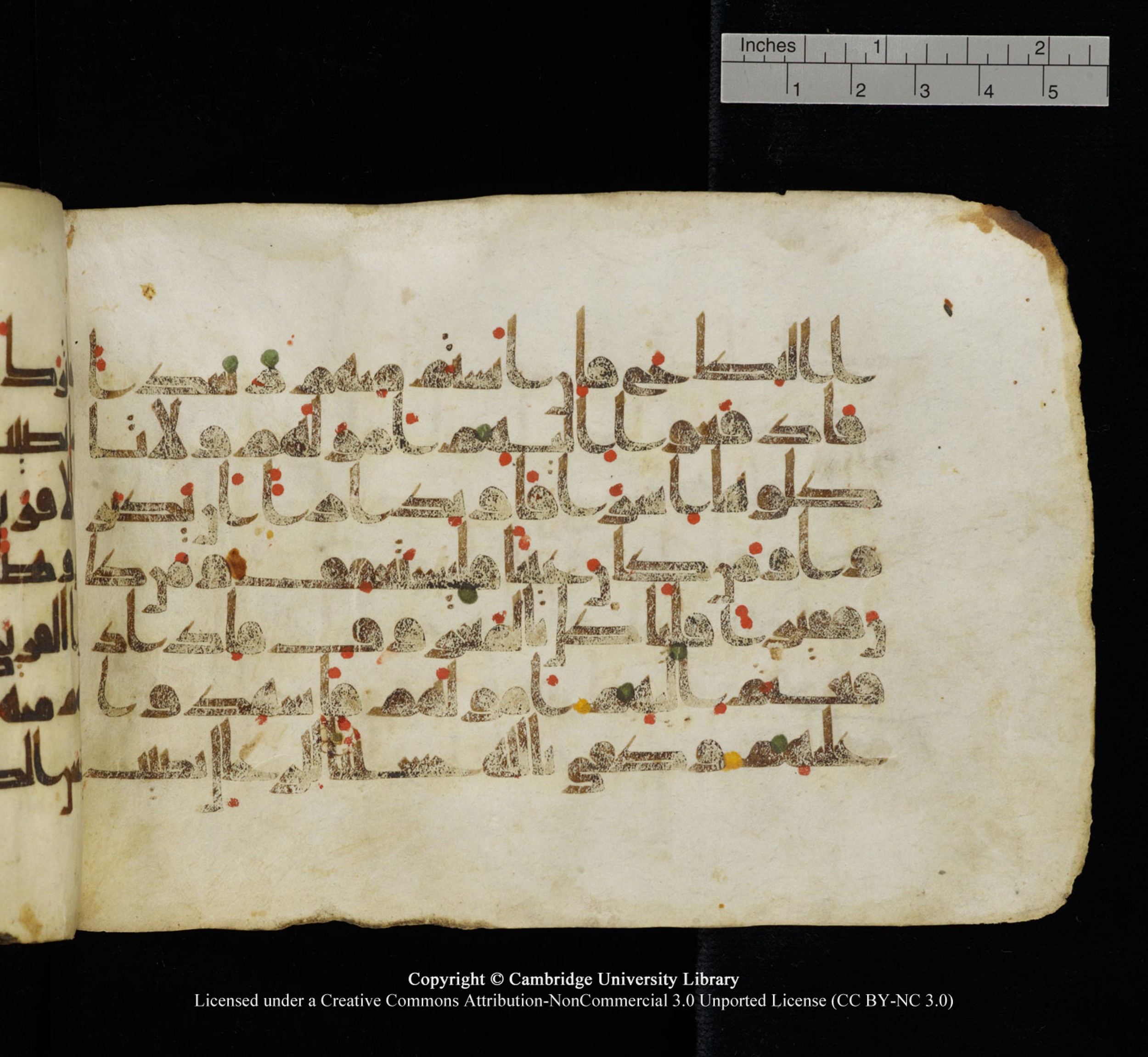 Cambridge University Library, MS Add.1115 (Scan 1), in kūfī D Va script, showing Surah 4:7 from 9th or 10th Century AD found in Sinai Peninsula, currently housed at Cambridge University Library, Cambridge