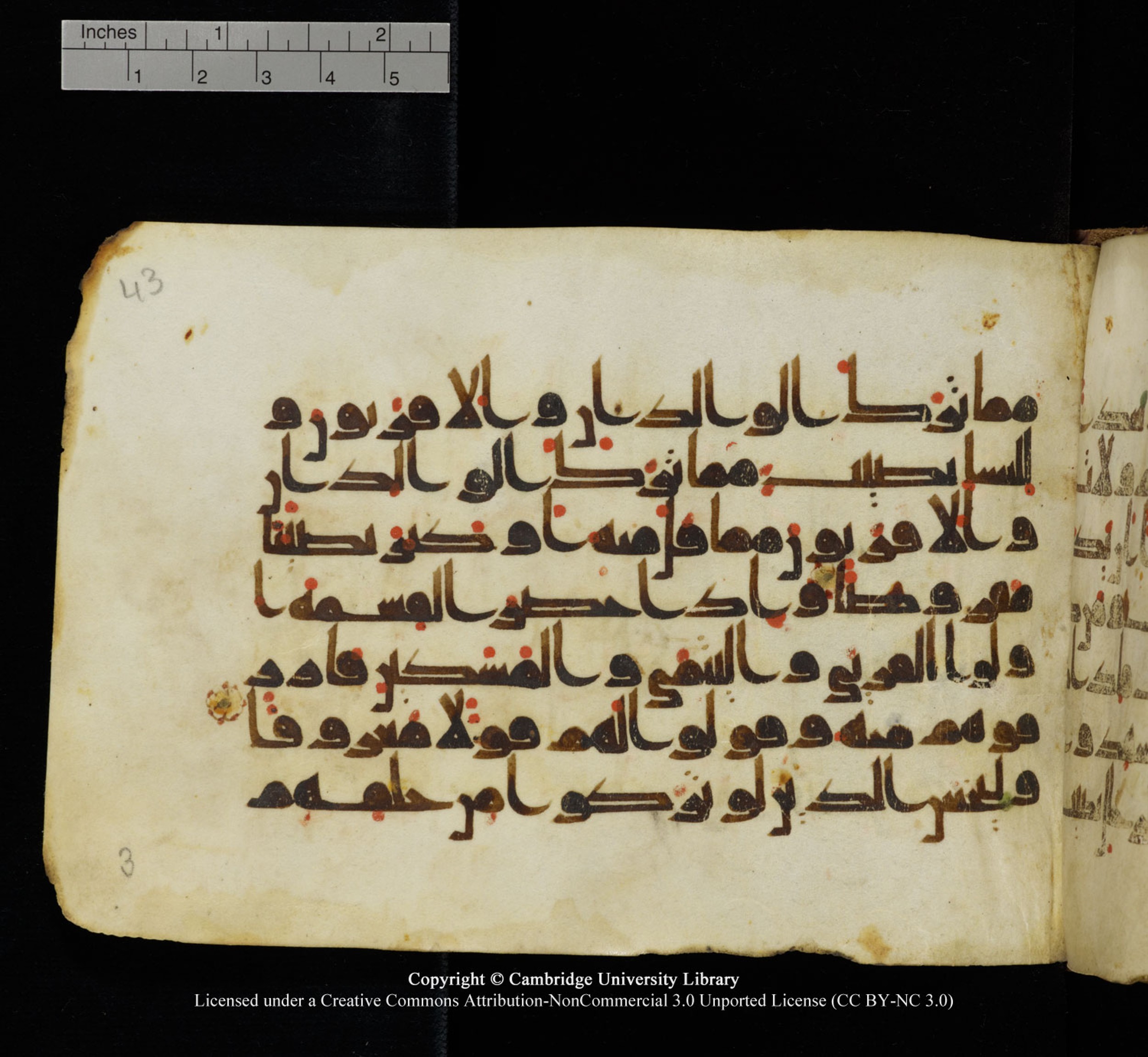 Cambridge University Library, MS Add.1115 (Scan 2), in kūfī D Va script, showing Surah 4:7 from 9th or 10th Century AD found in Sinai Peninsula, currently housed at Cambridge University Library, Cambridge