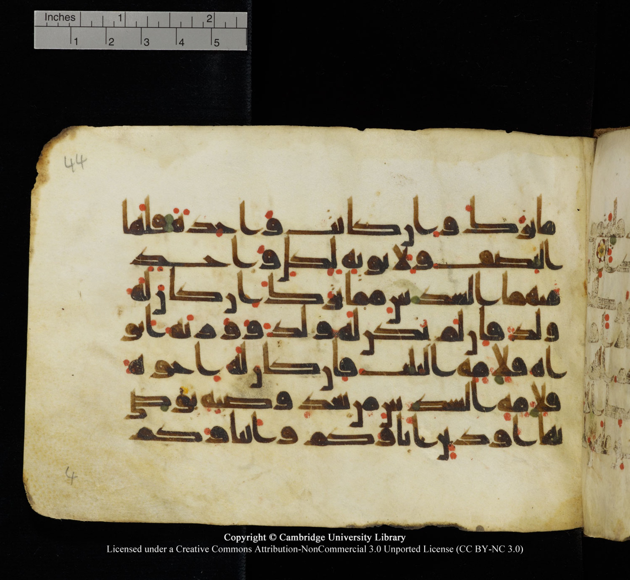Cambridge University Library, MS Add.1115 (Scan 2), in kūfī D Va script, showing Surah 4:11 from 9th or 10th Century AD found in Sinai Peninsula, currently housed at Cambridge University Library, Cambridge