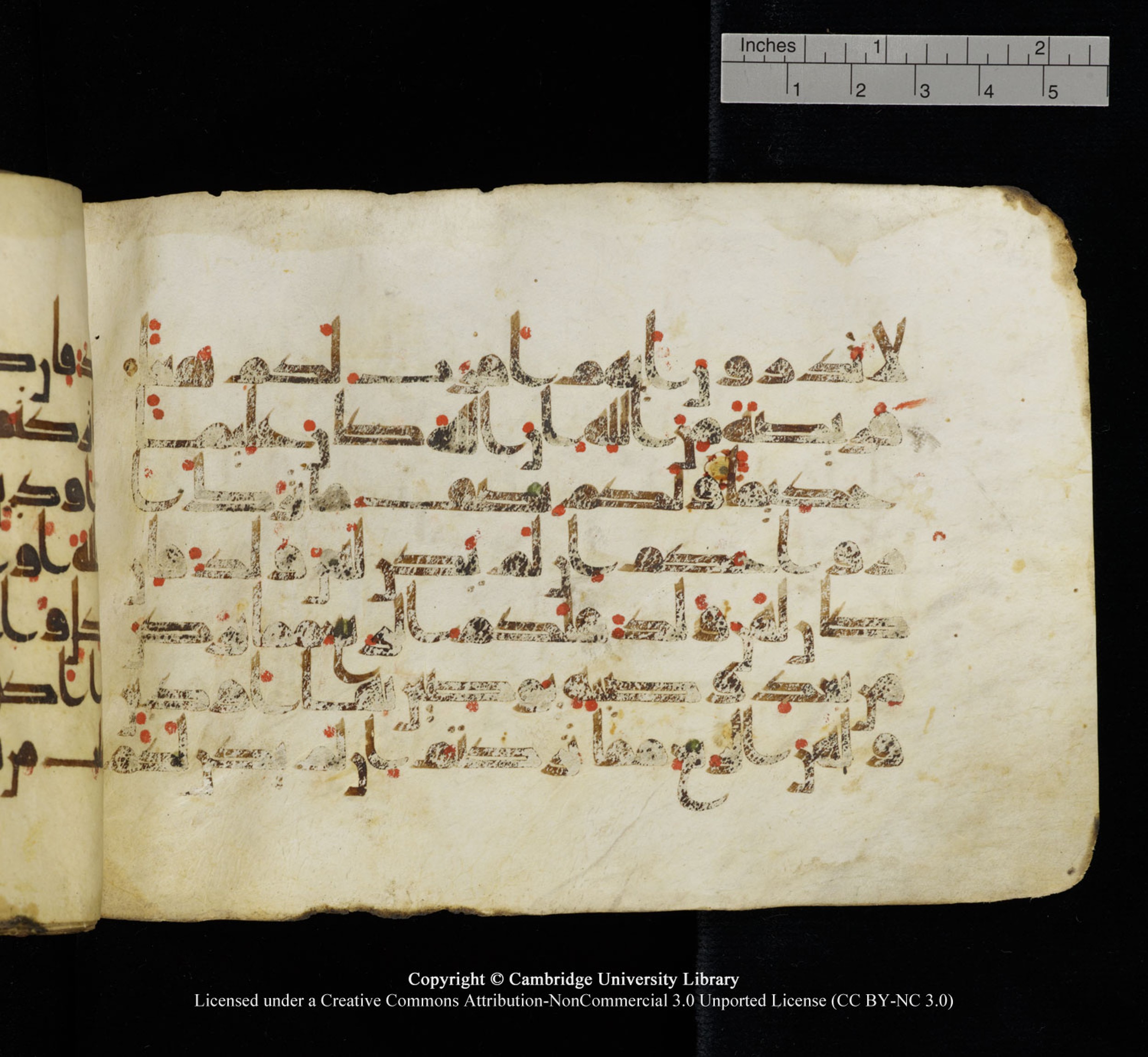 Cambridge University Library, MS Add.1115 (Scan 1), in kūfī D Va script, showing Surah 4:12 from 9th or 10th Century AD found in Sinai Peninsula, currently housed at Cambridge University Library, Cambridge